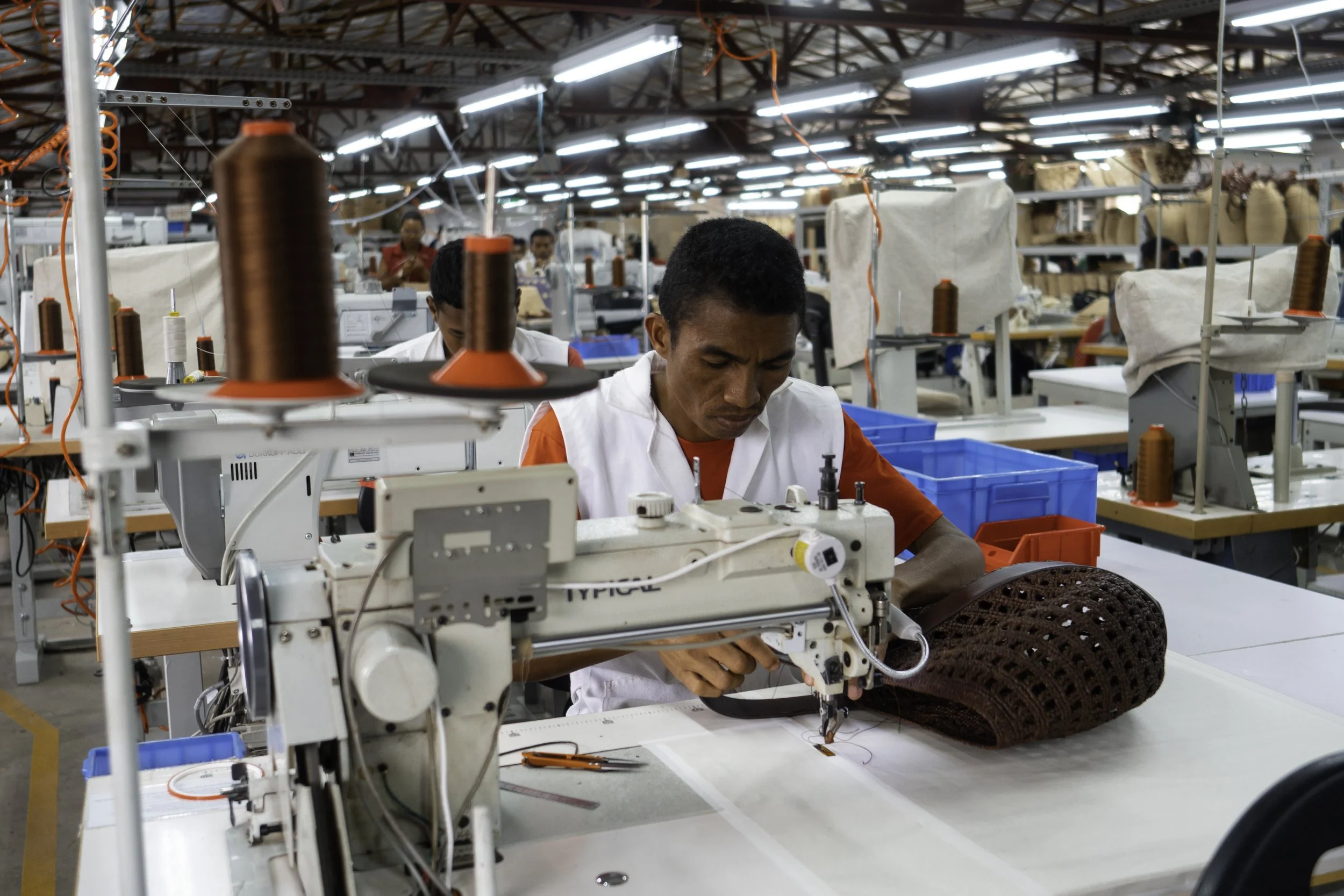 Photo Raffia Connection 7