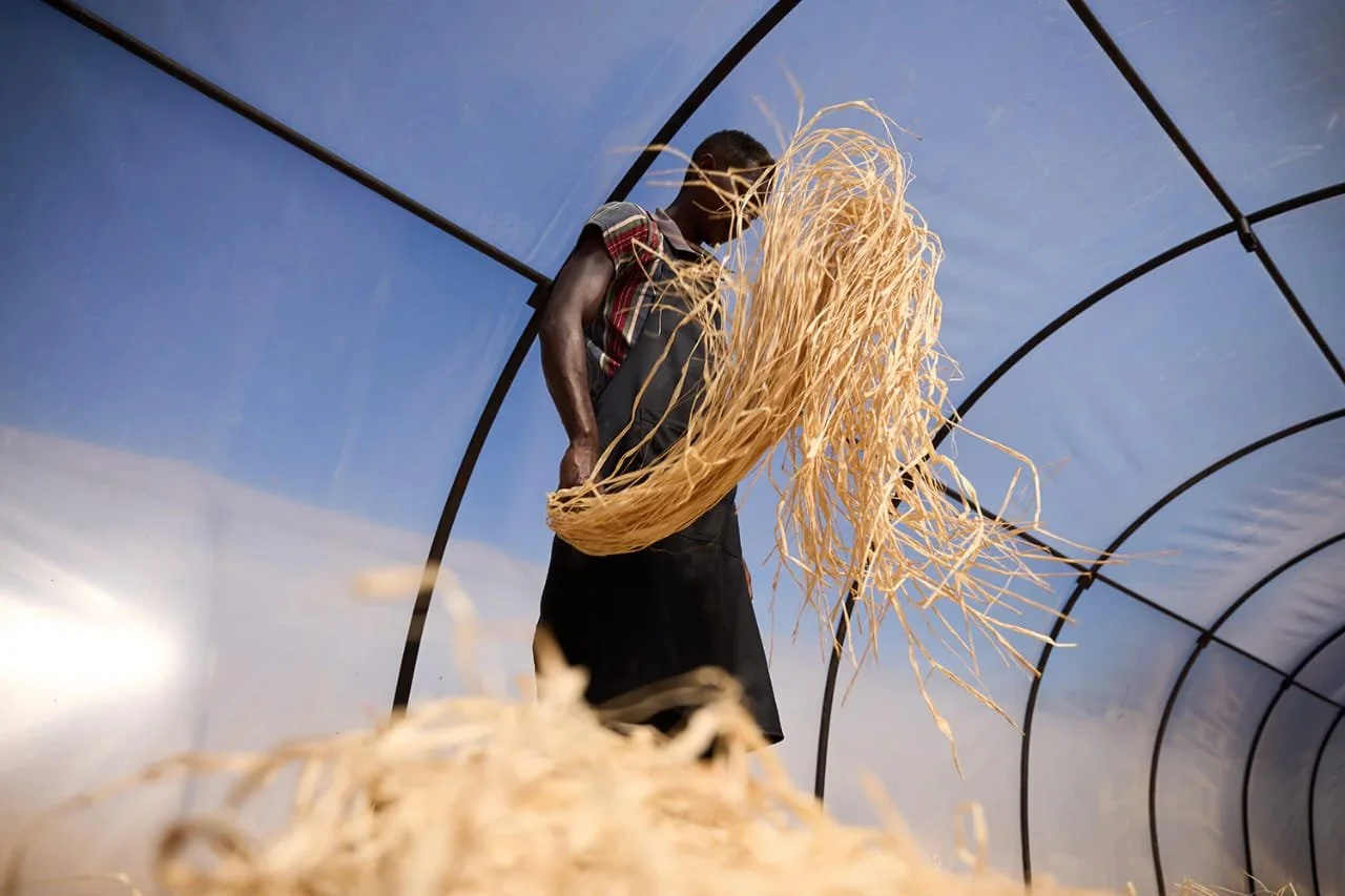 Raffia Connection