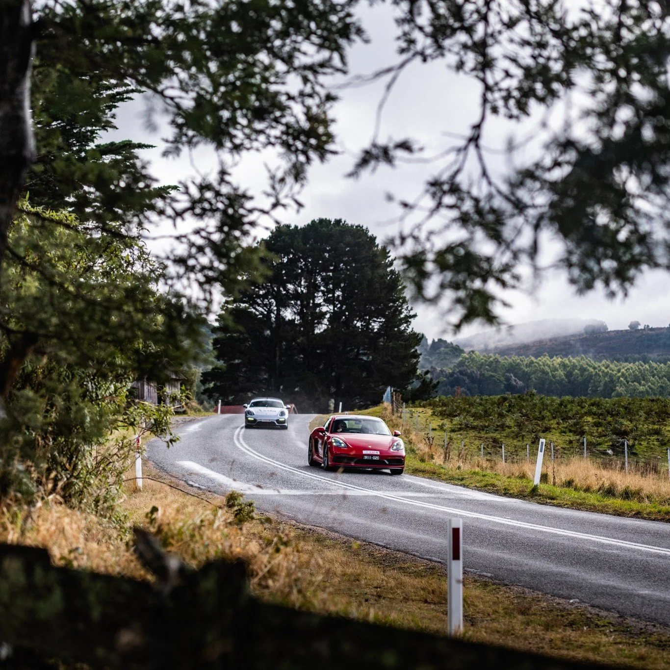 2025 TARGA TASMANIA