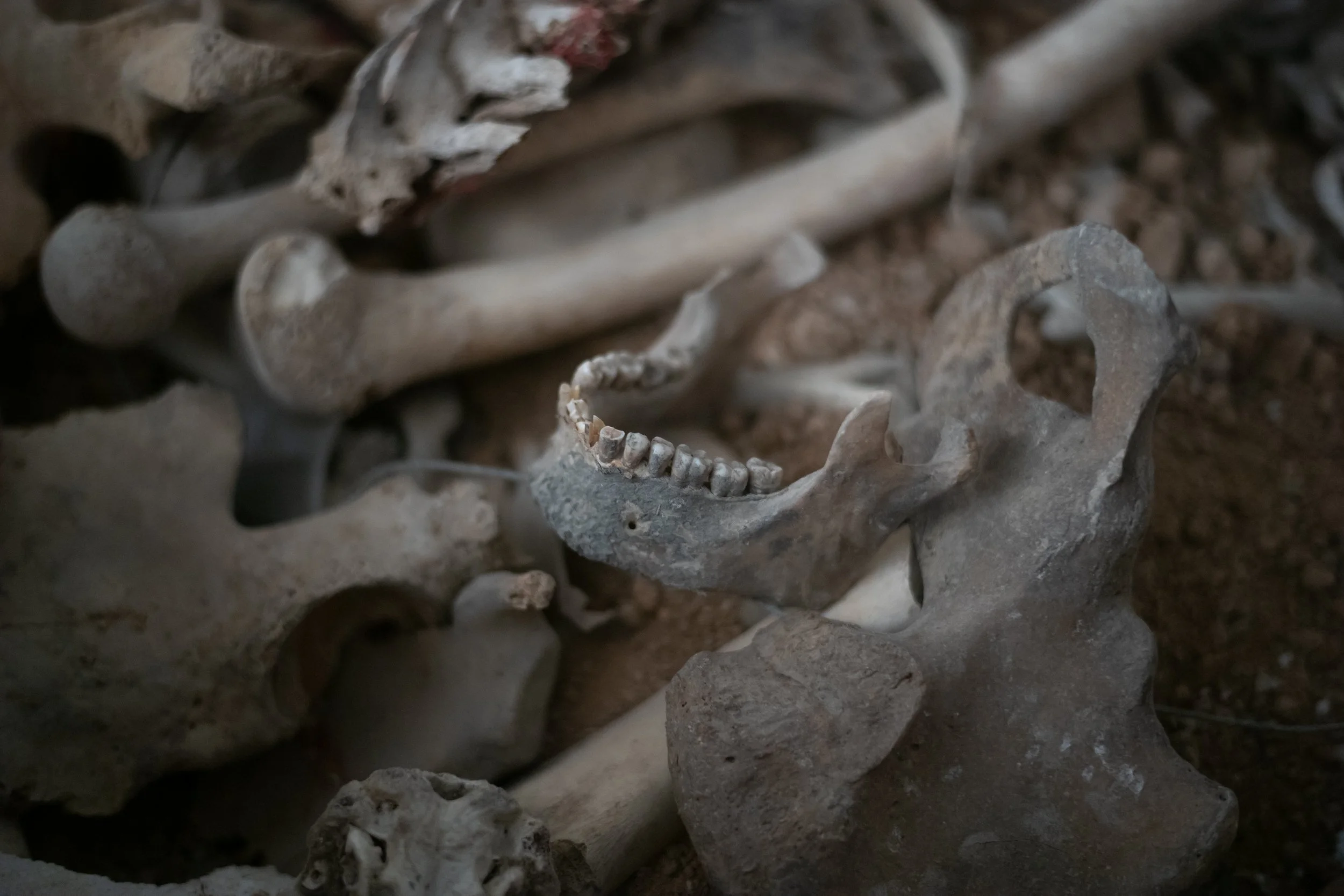 On 18 August 2025, Mohammed Reda Jalkhi, president of the Syrian National Commission for the Disappeared created in May 2025, declared, “We have a map listing more than 63 mass graves identified in Syria.” According to him, work was underway to creat