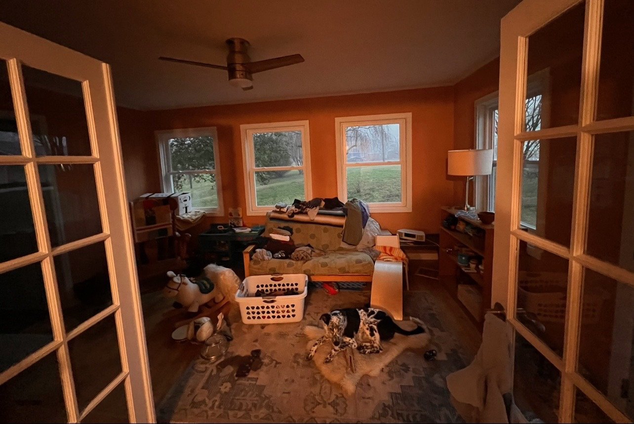 A cluttered living room with a couch, lamp, and windows showing an outdoor view; a dog lying on a mat, toys, and laundry on the furniture.