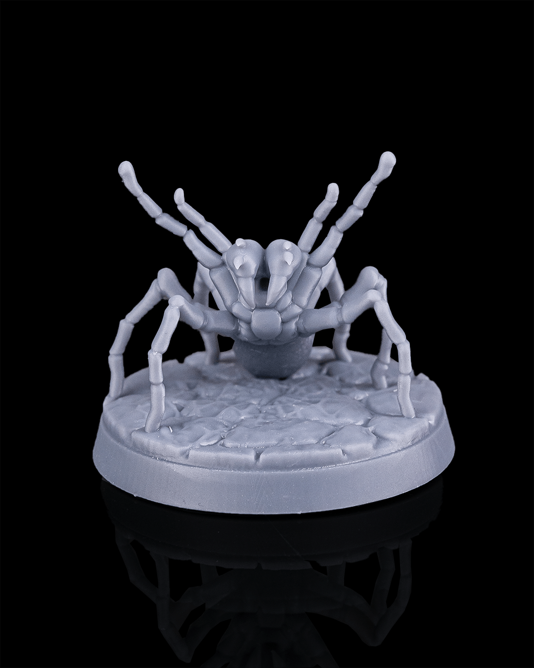 Huntsman Spider