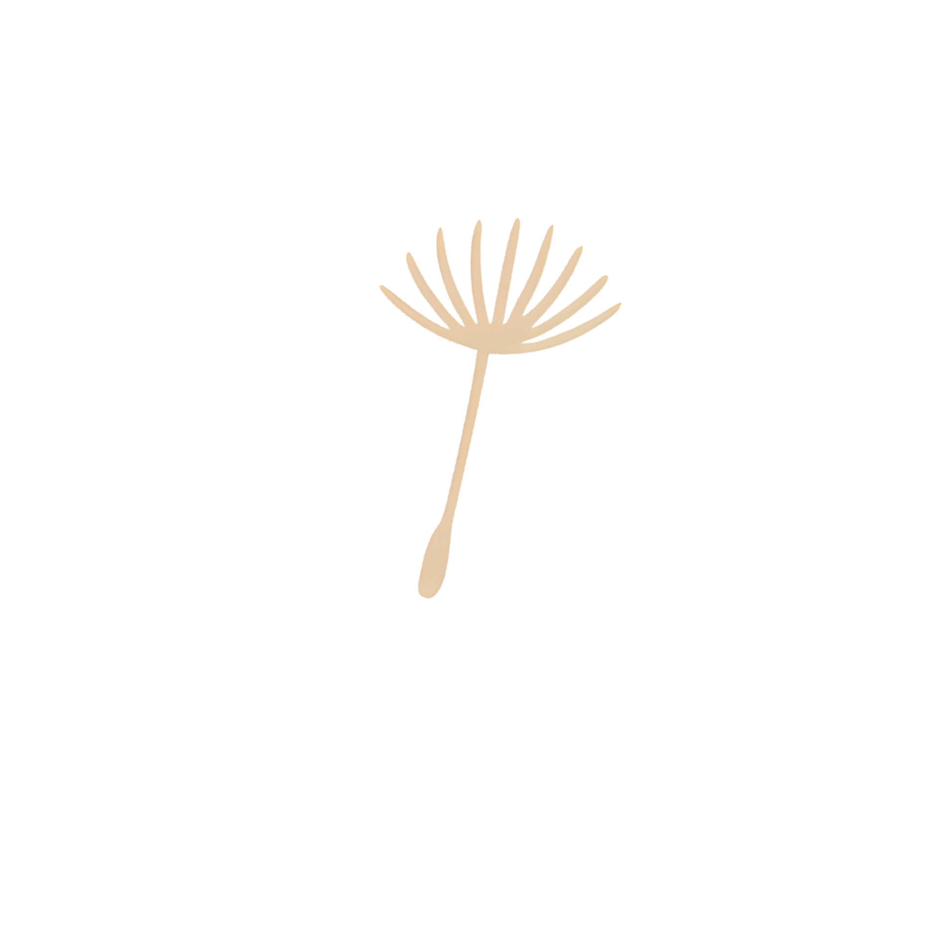 Illustration eines Pusteblatts auf schwarzem Hintergrund