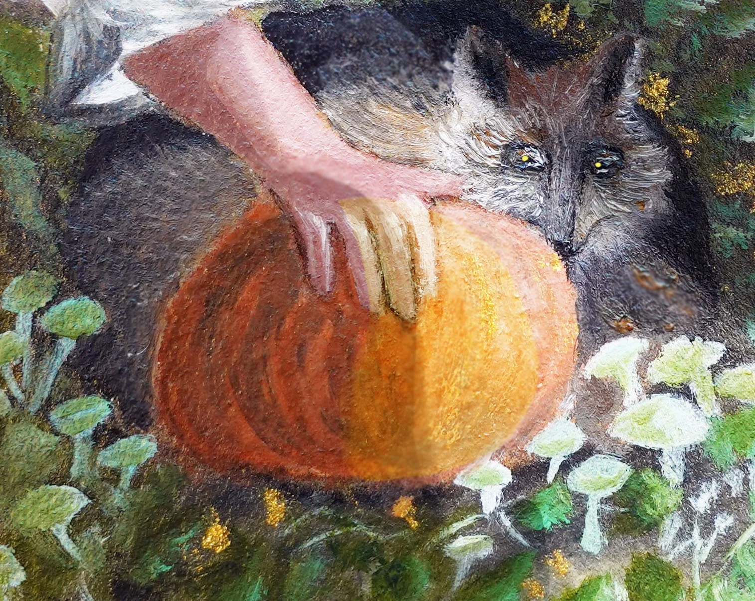 Pumpkin close 1.jpg