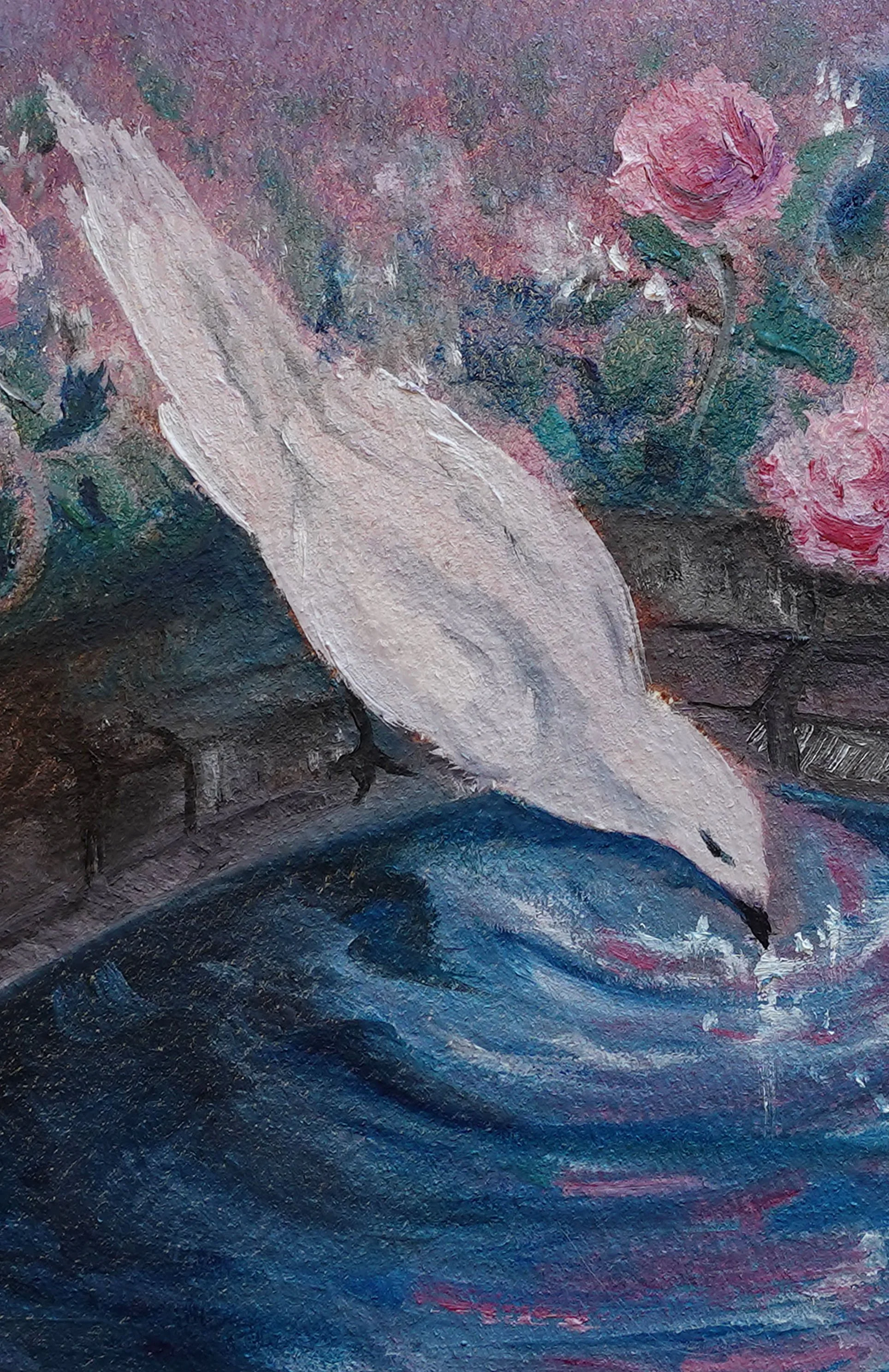 Close Up 2.jpg