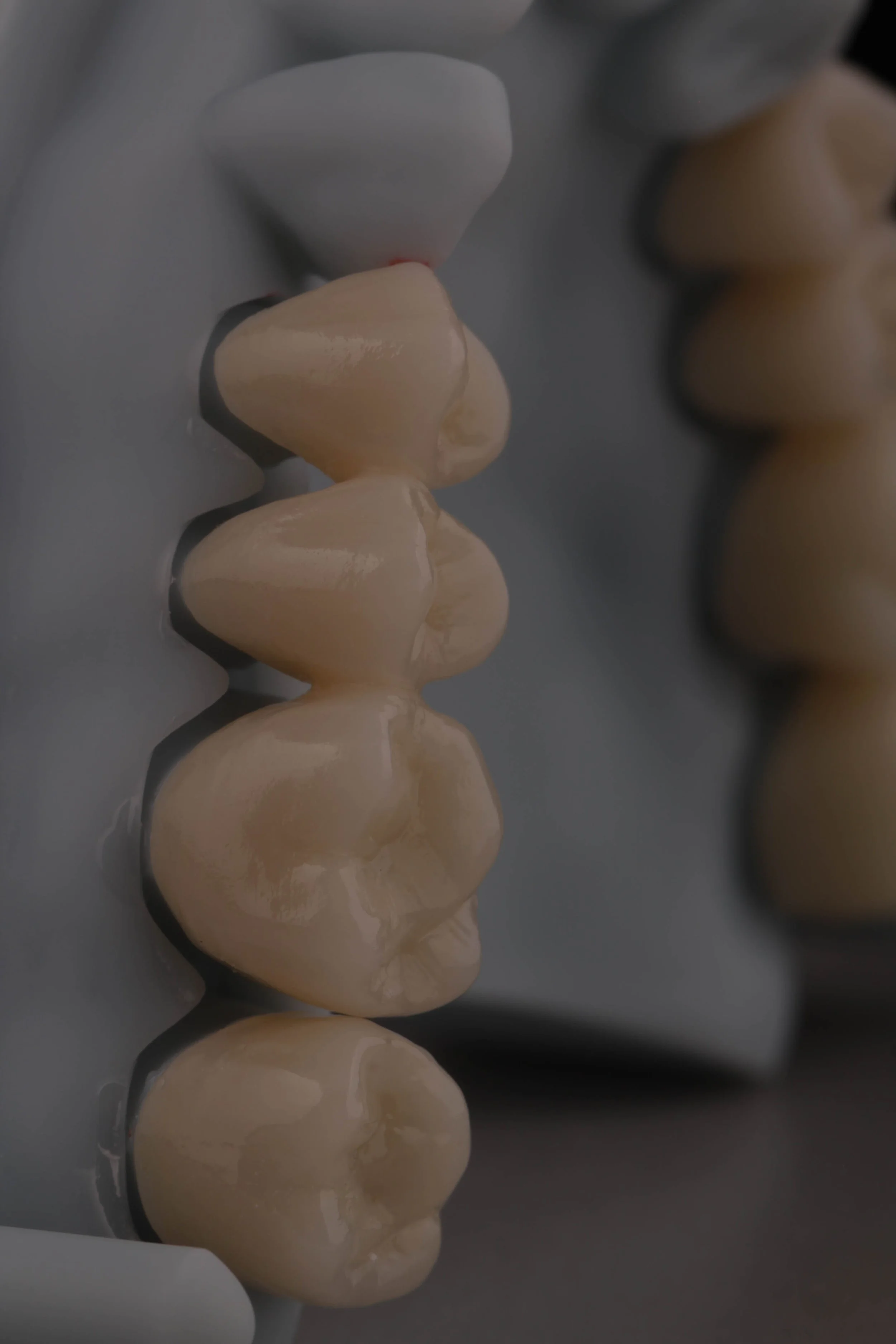Close-up of a row of beige and white teeth-shaped candies on a gray surface.