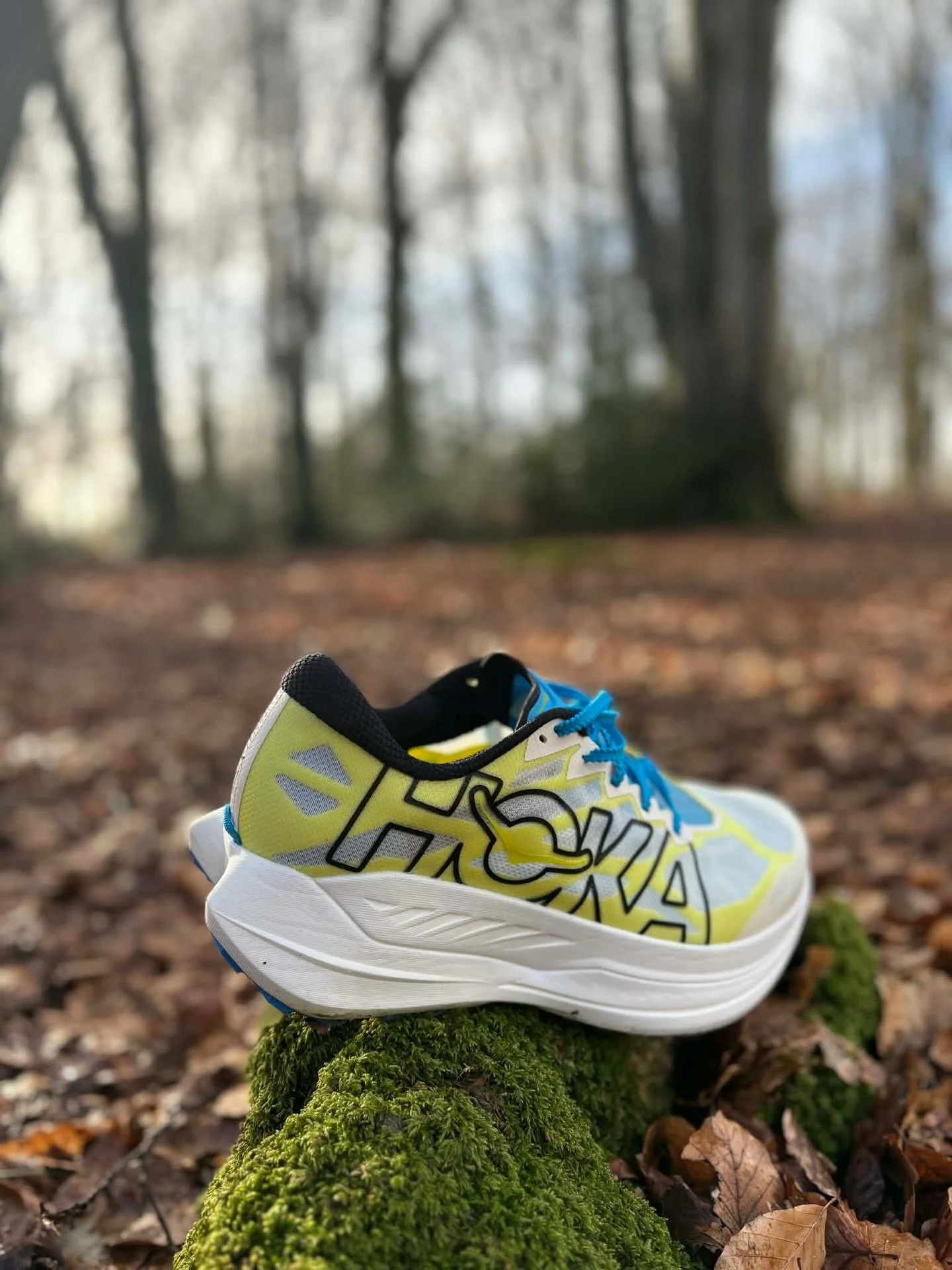 Reklame for skogens nye konge 🫎

Terreng- og fjell&oslash;ping har av mange &aring;rsaker, blitt mer og mer popul&aelig;rt de siste &aring;rene, og skoskapene til mosjonister n&aelig;rmer seg 50/50 av asfalt og terrengsko 👟🥾

HOKA Rocket X Trail e