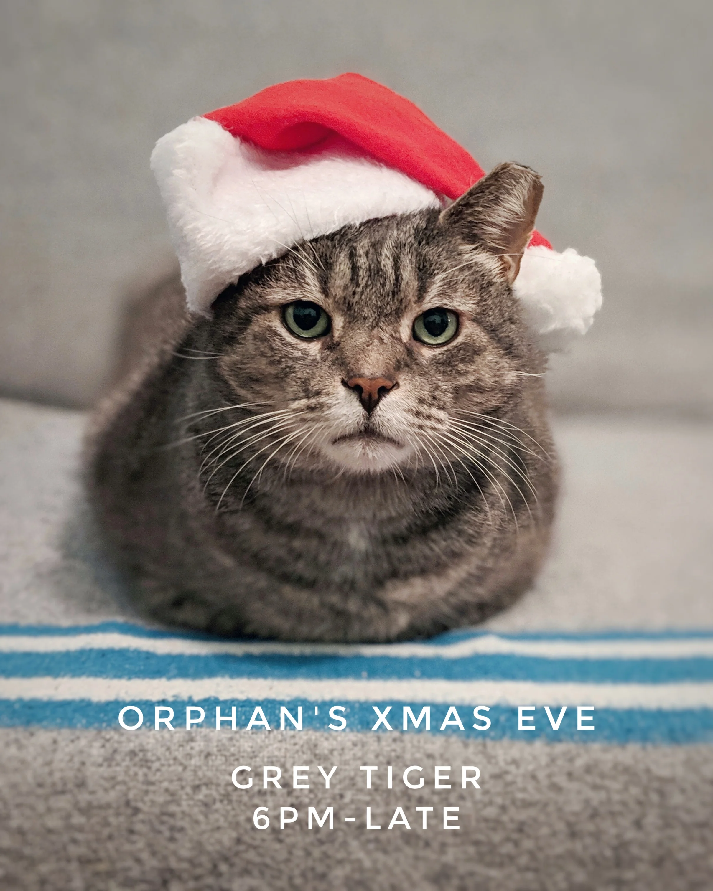 Orphan's Xmas Eve