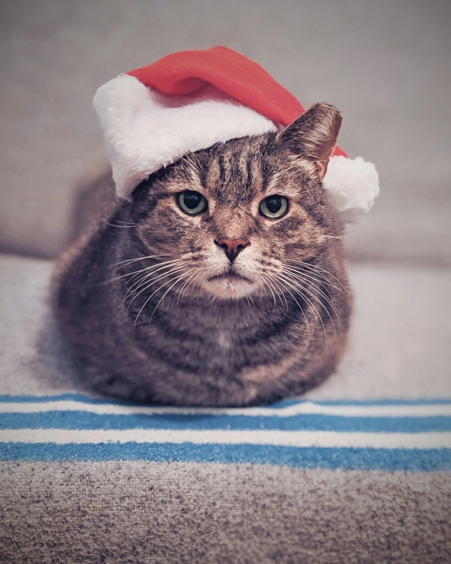 Orphans Xmas Eve