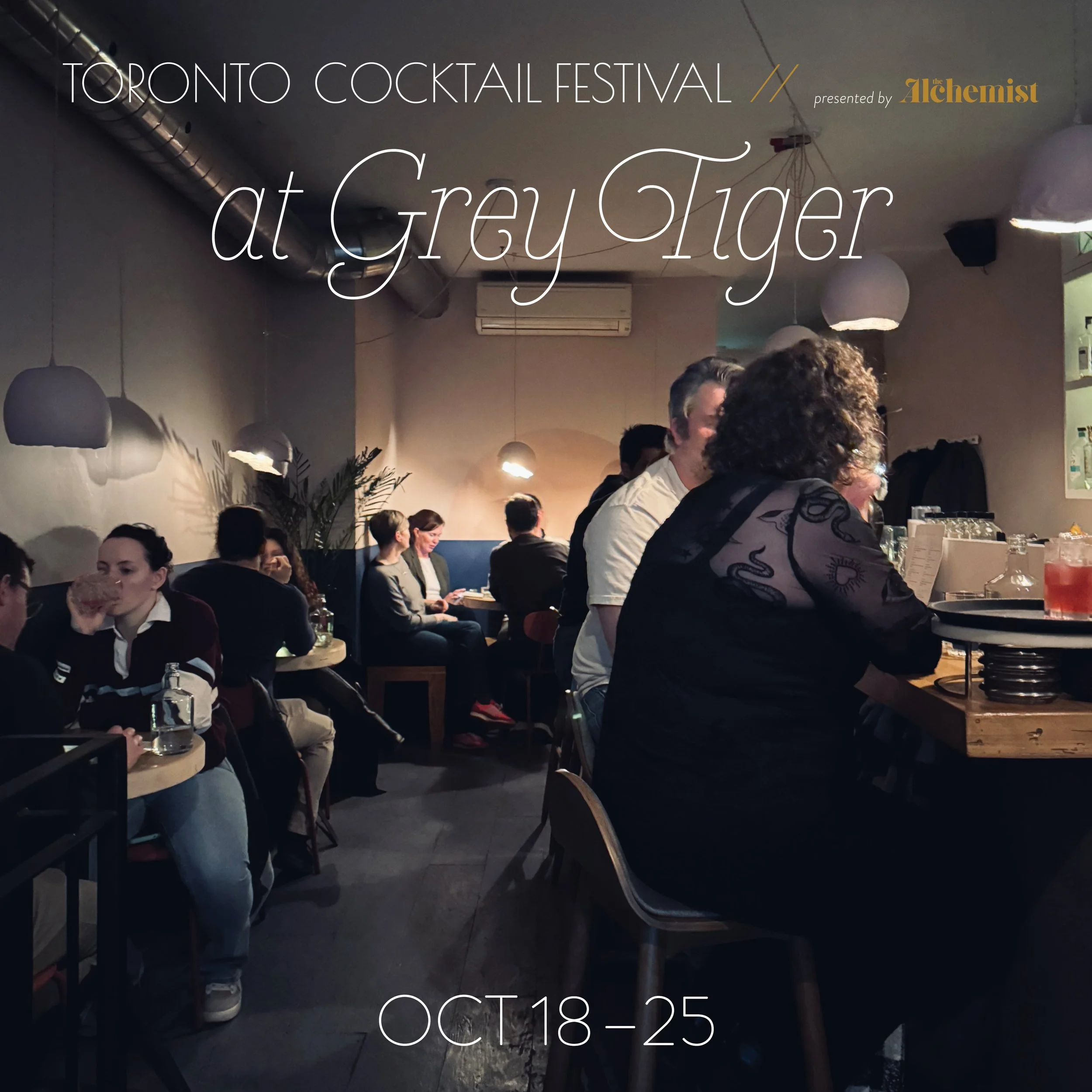 Toronto Cocktail Festival