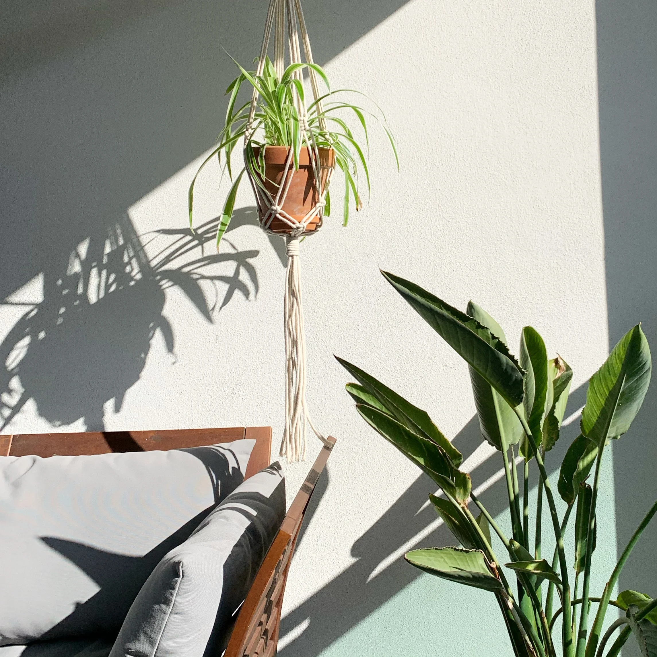 Crea il tuo porta piante in macramè da sospensione