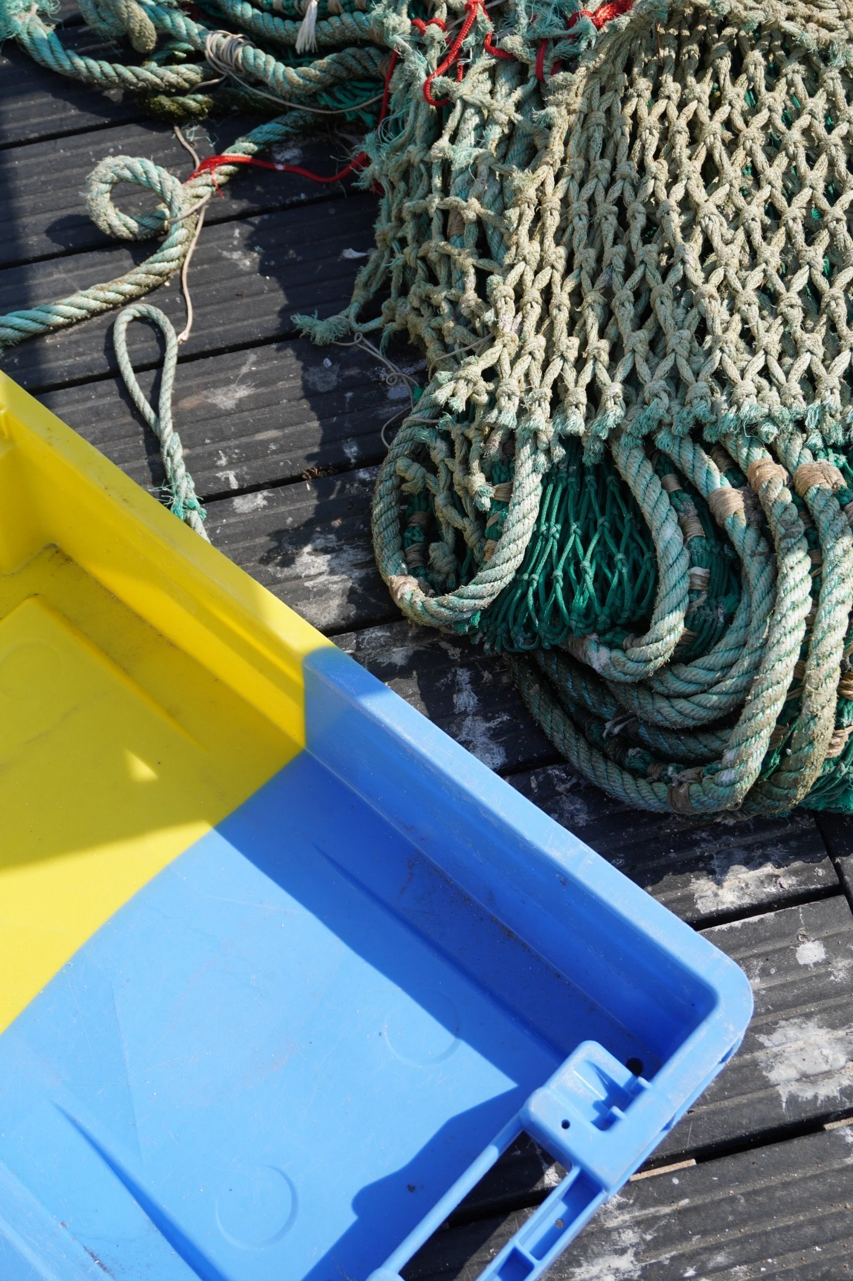 Creative Log — Lorient (1/3)