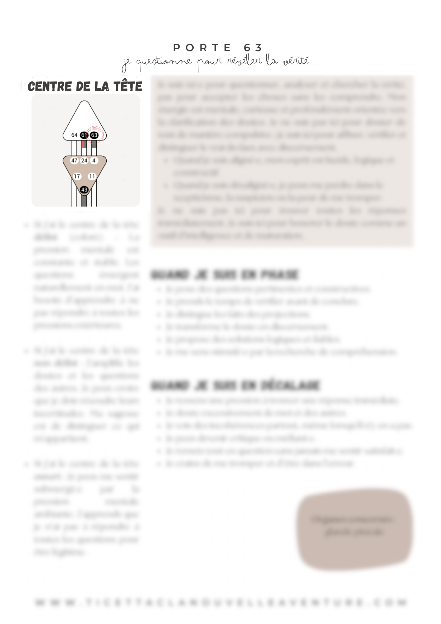 PORTE 63 (affiche floue).png