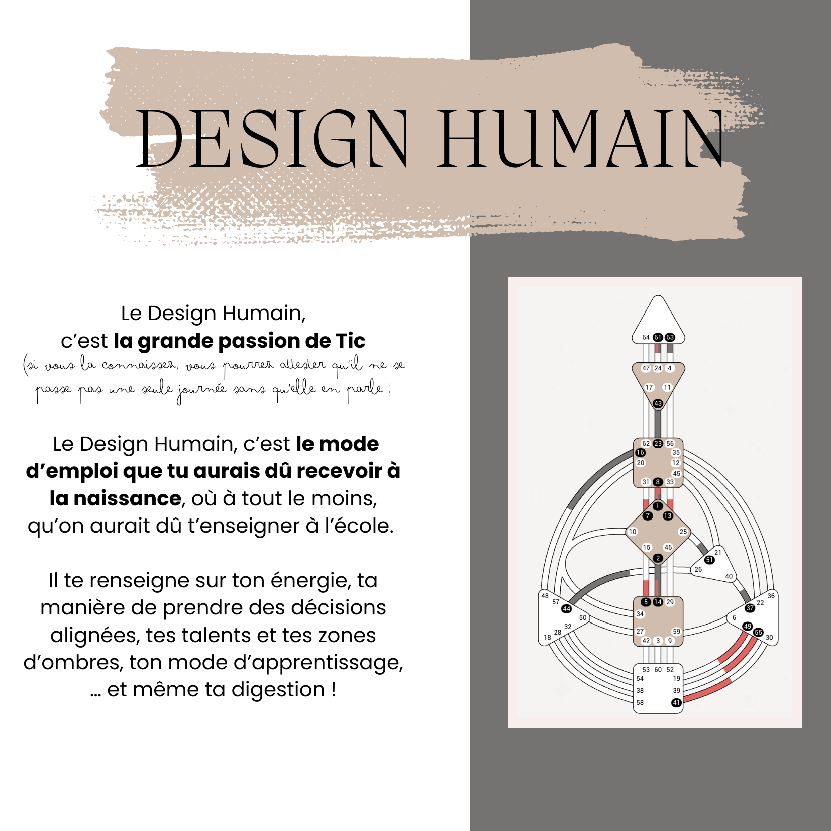 DESIGN HUMAIN