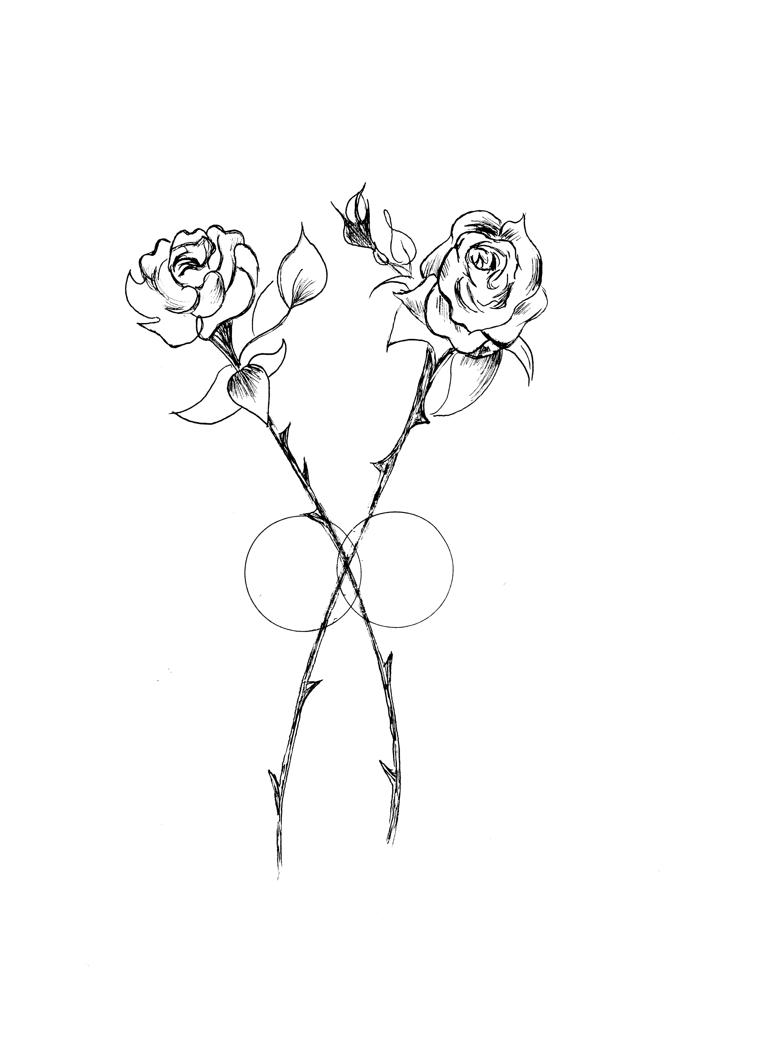 Line drawing of two roses with stems crossing, drawn with white lines on black background. Drawing by Rianne Vestuto.