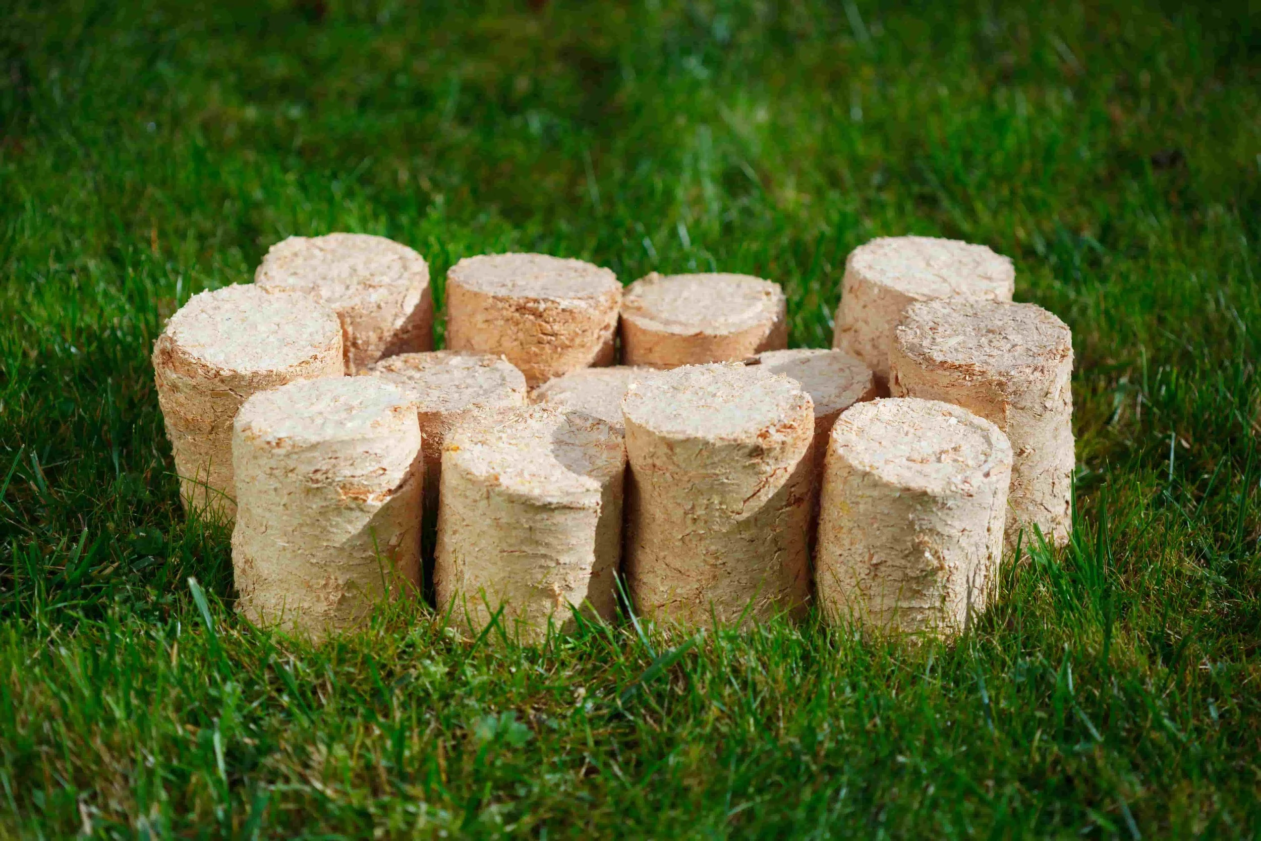 Biomass Depositphotos_54243727_xl-2015.jpg