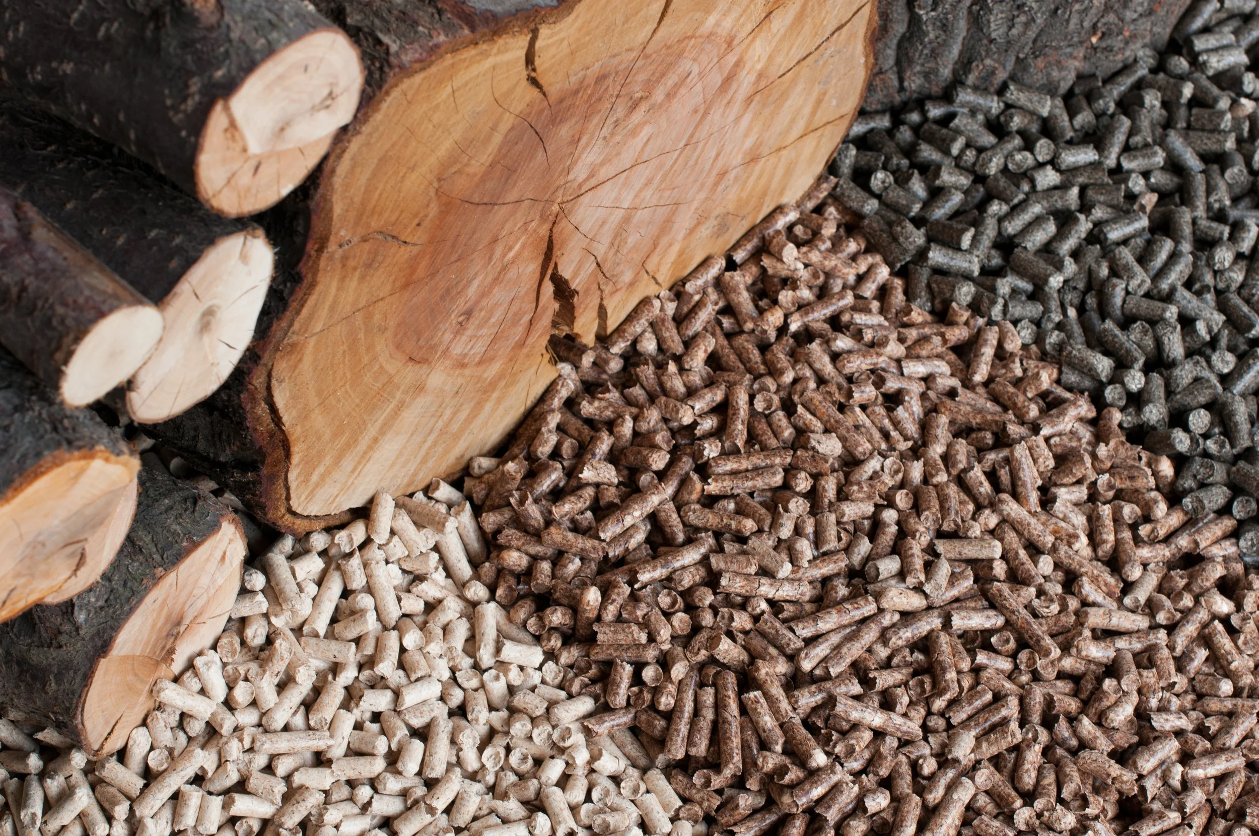 Biomass Depositphotos_10568146_xl-2015.jpg