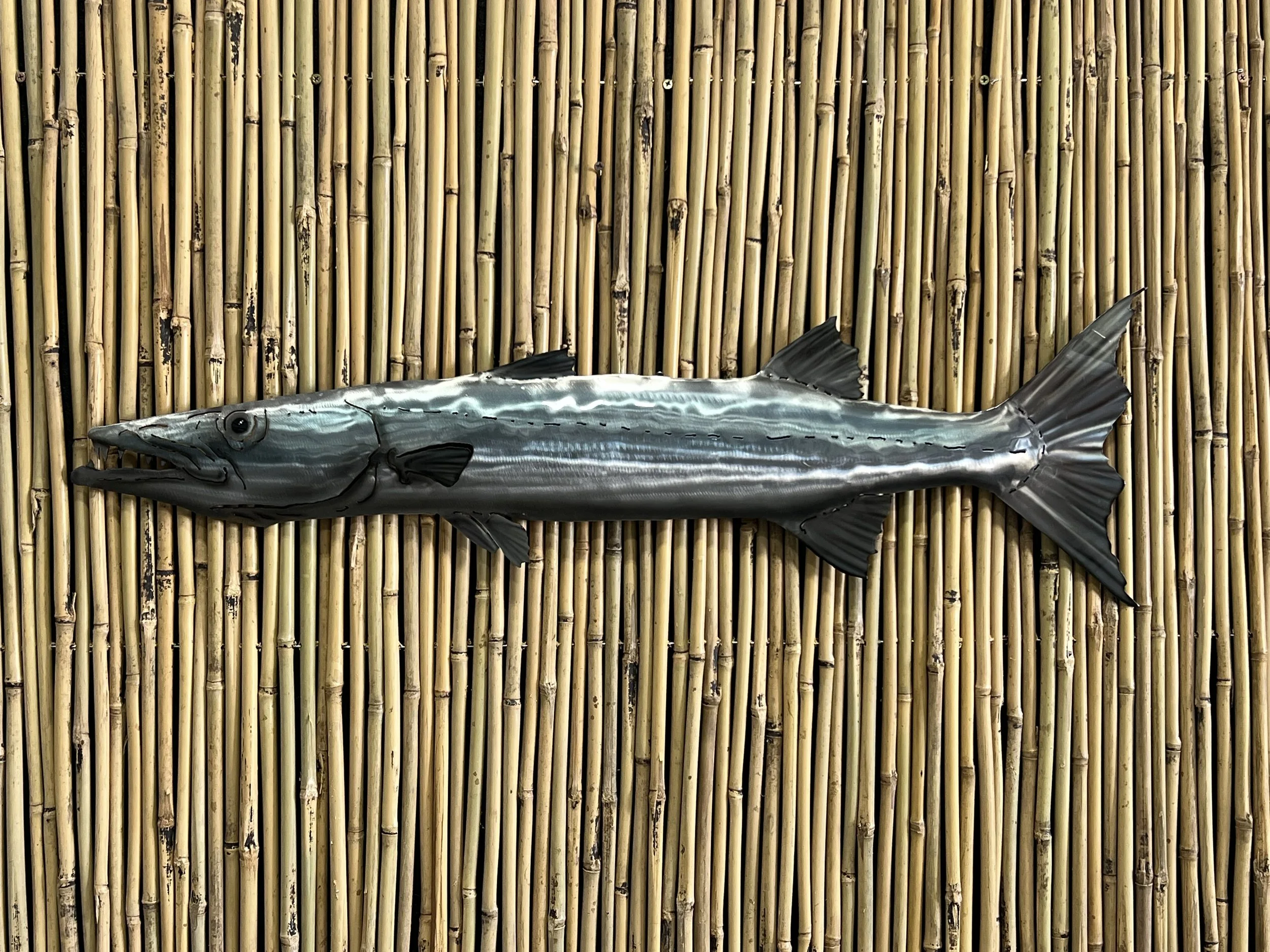 Barracuda, Full Color