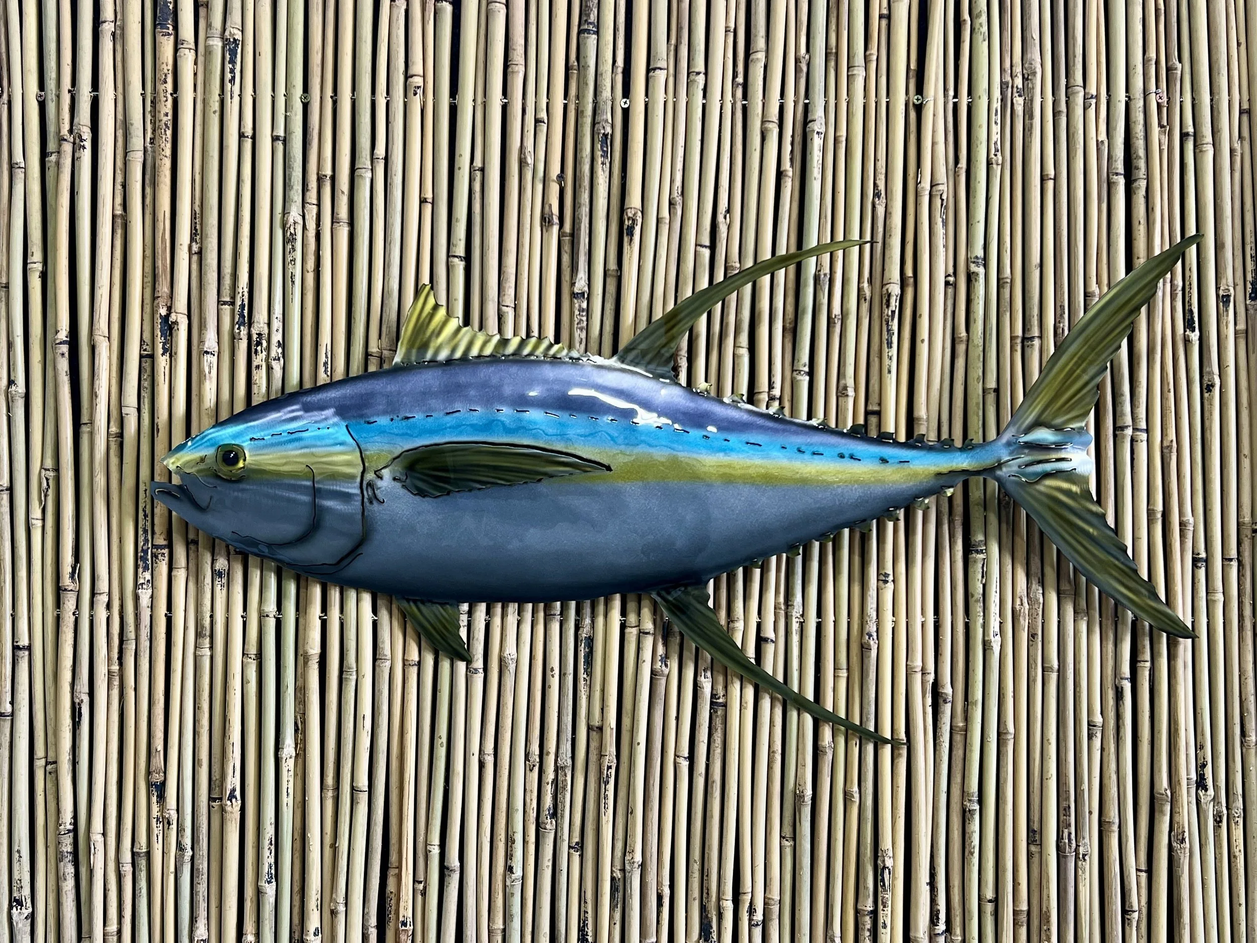 Black Fin Tuna