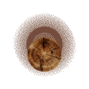 Timber