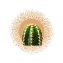 Desert