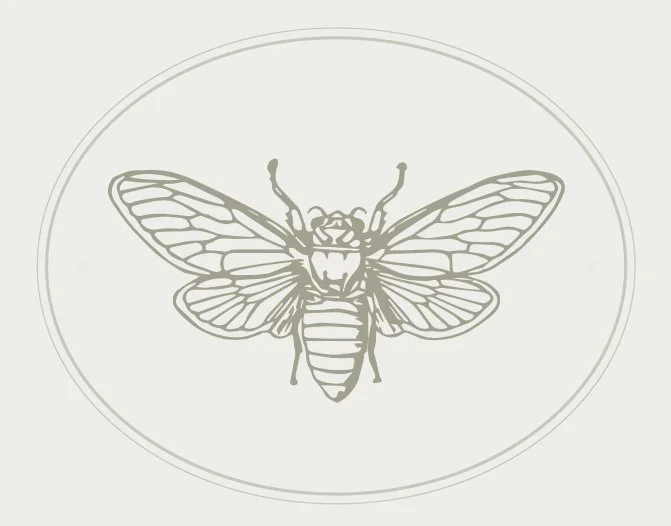 Wellness &amp; Integrative Support