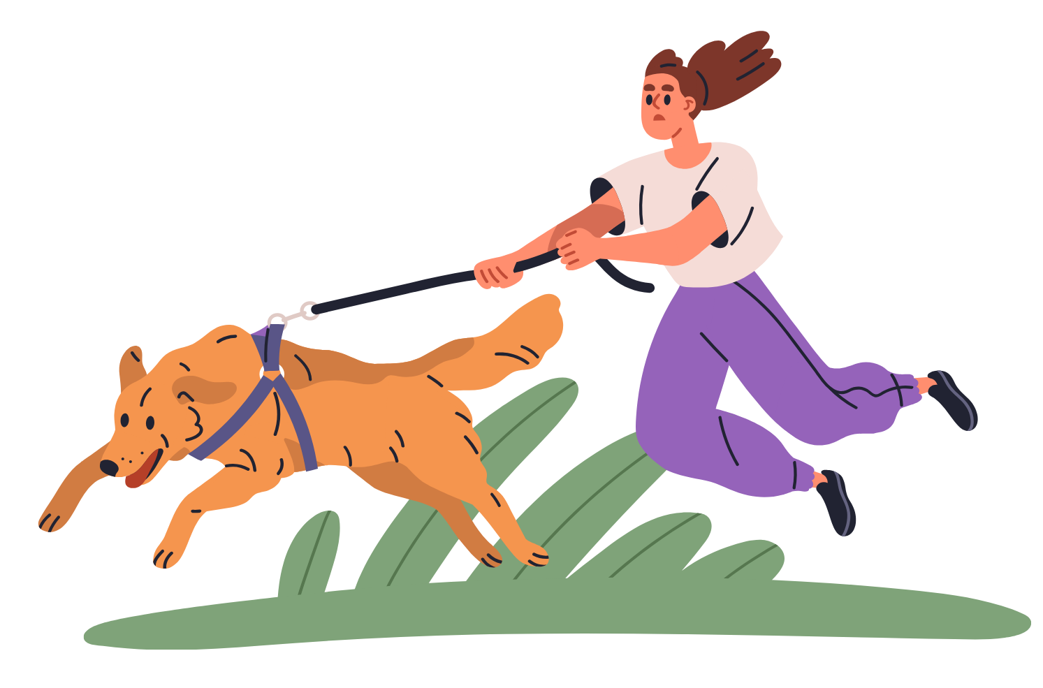A person in purple pants and a white t-shirt walking a golden retriever on a leash in a park or yard.