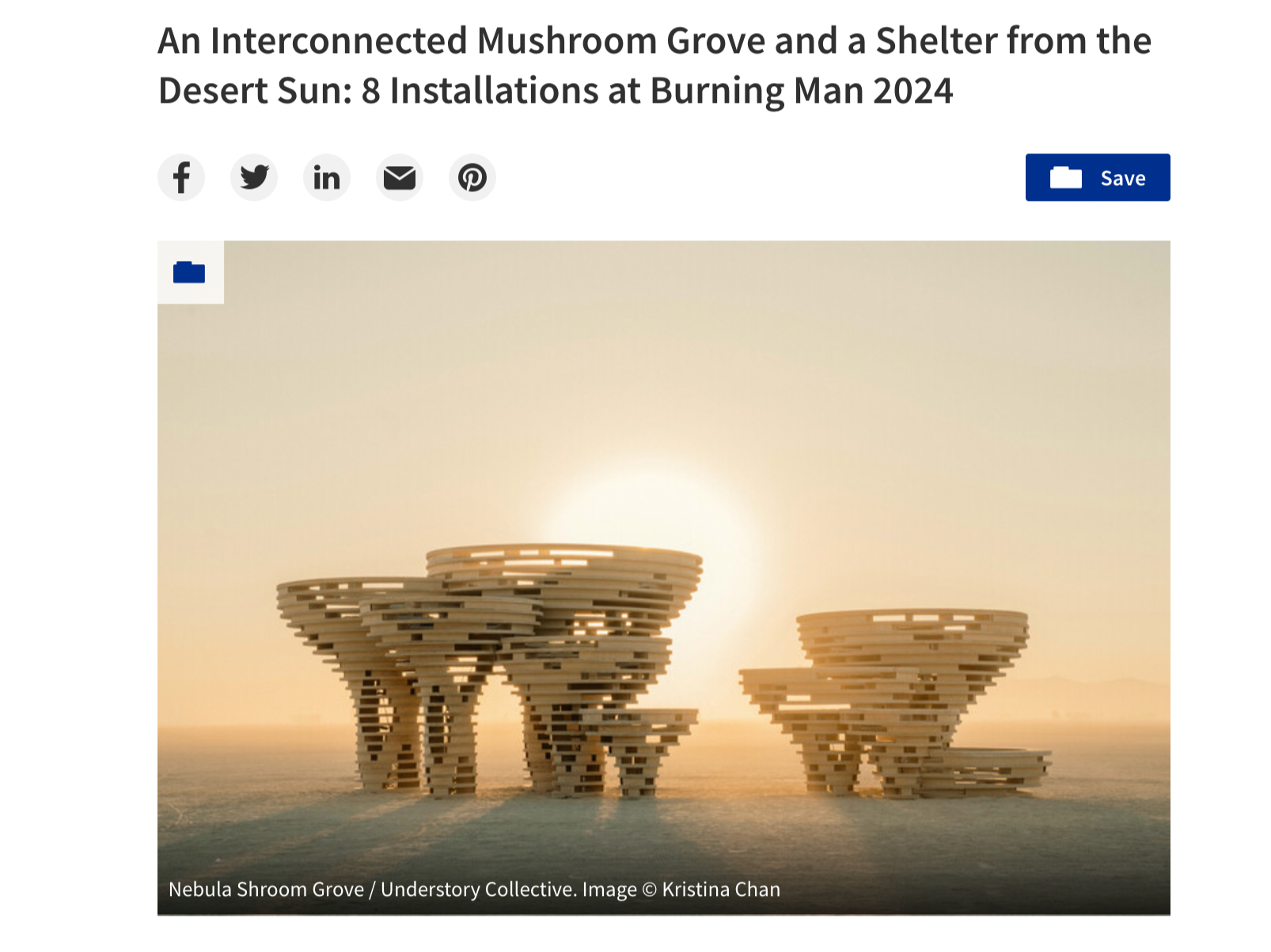 Nebula Shroom Grove project by Understory Collective, photography by Kristina Chan for At Et Al, published on ArchDaily.