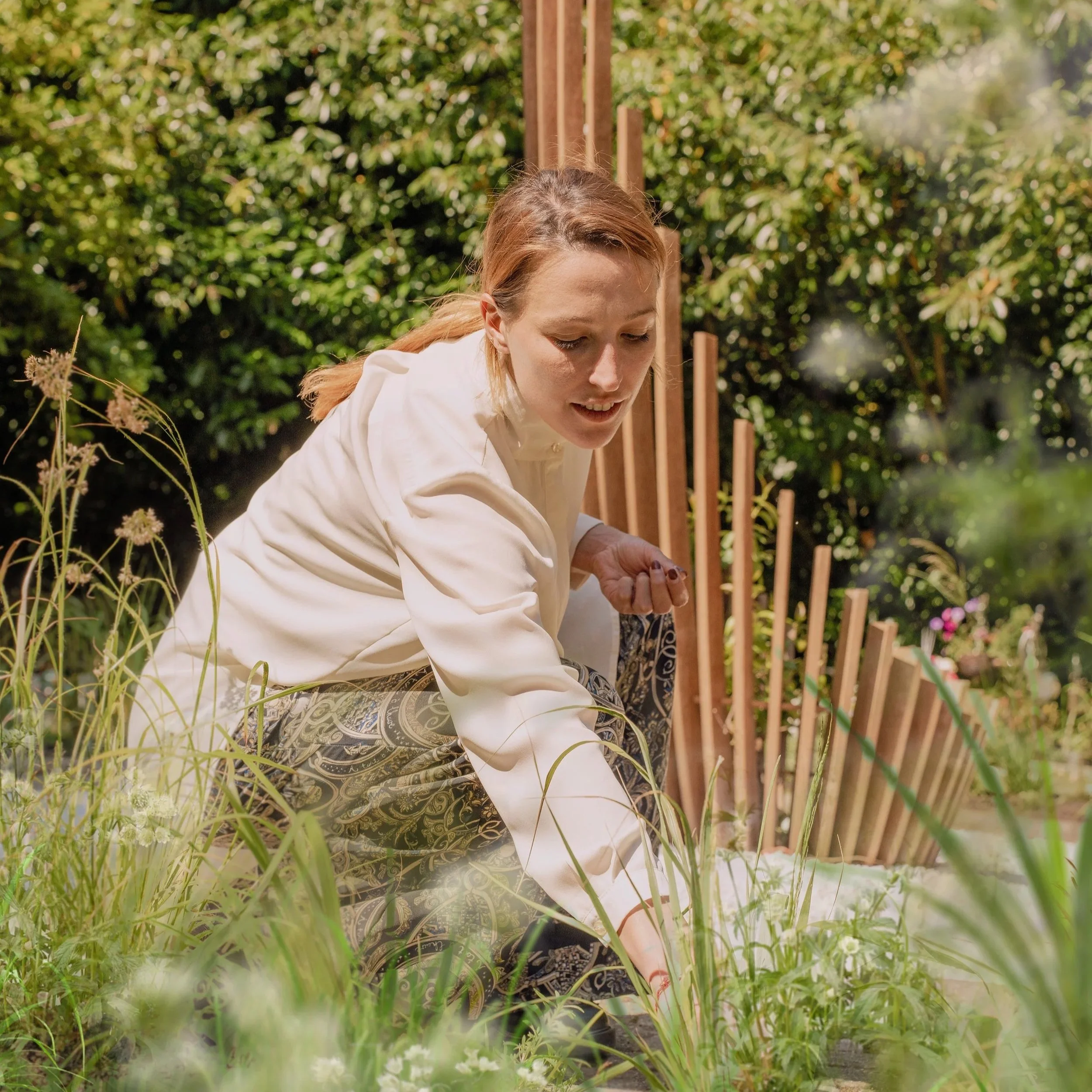 Petrichor, Maetherea