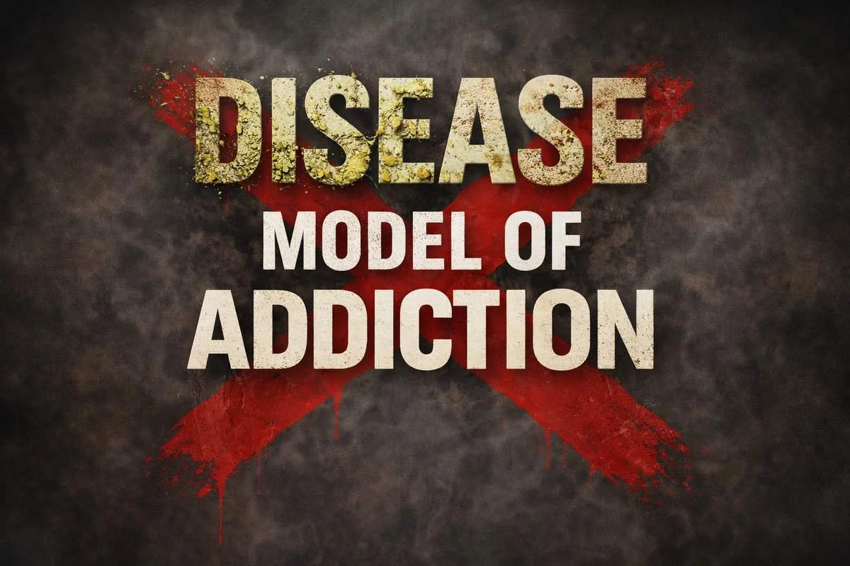 Graphic showing the words “Disease Model of Addiction” with the word disease appearing decayed and a large red X across the phrase, symbolizing debate and criticism of the addiction disease model.