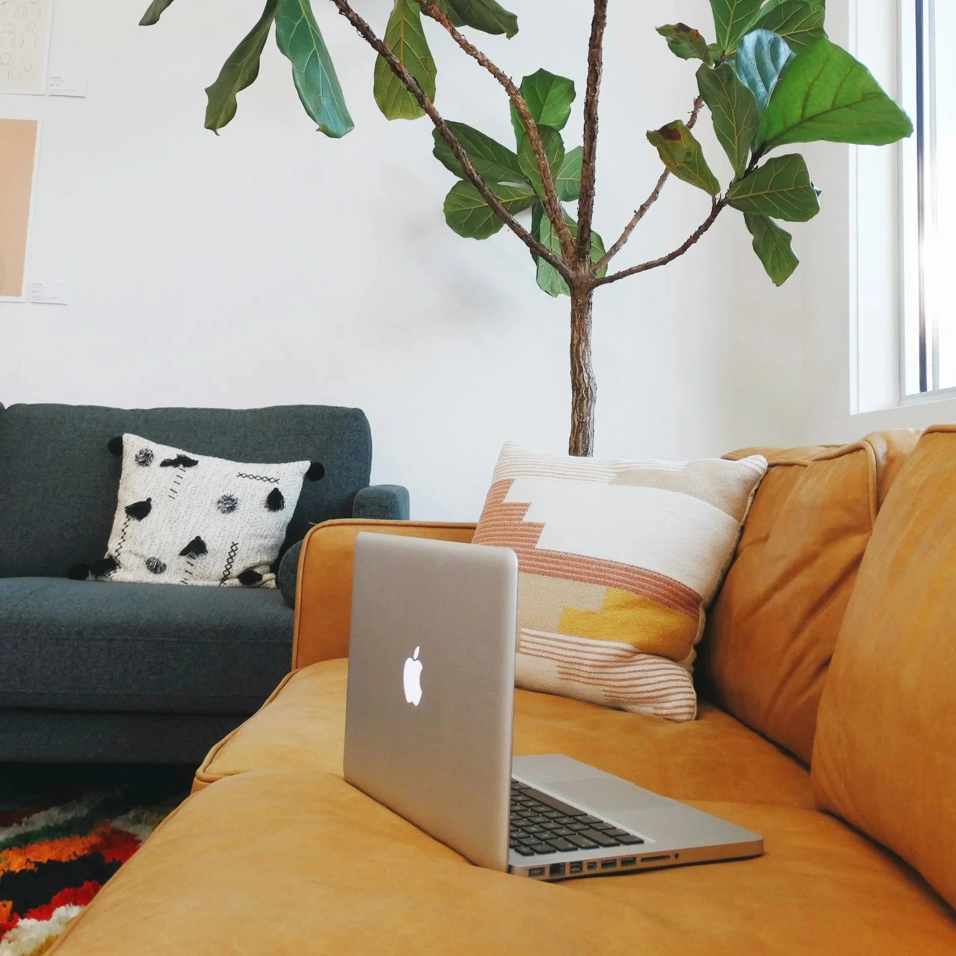A cozy living room with a yellow sofa, a decorative pillow, a gray armchair with a patterned pillow, a large indoor tree, and a silver MacBook opened on the sofa.