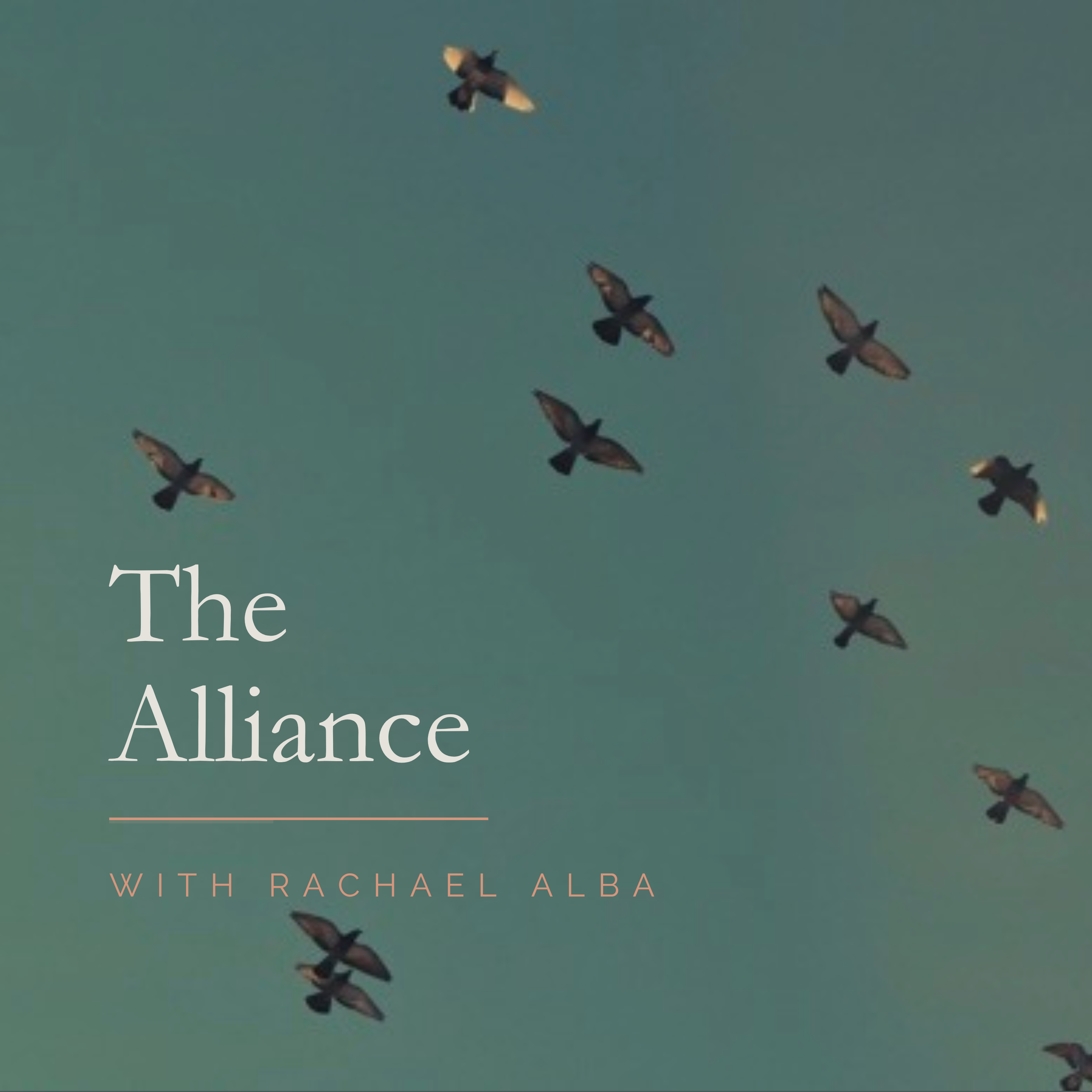 Group of birds flying against a clear sky with the title 'The Alliance with Rachael Alba' overlaid on the image.