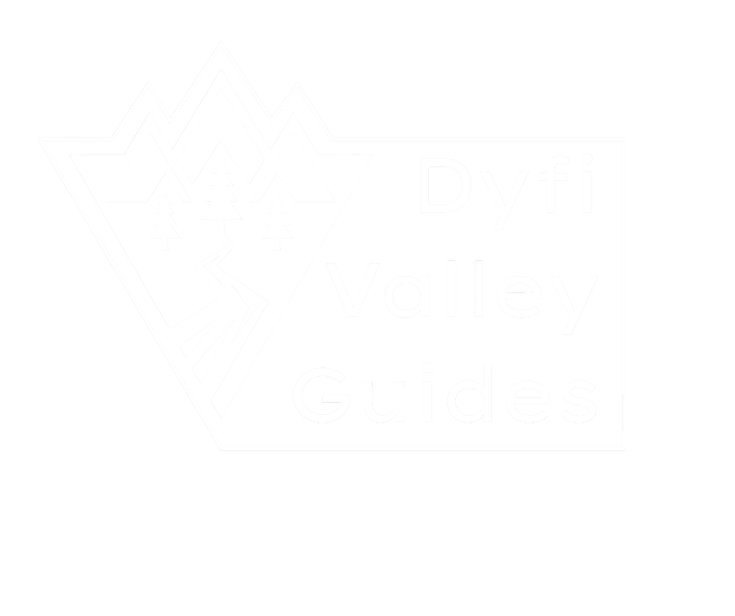 Dyfi Valley Guides