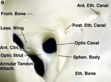 ch015_fig001.jpg