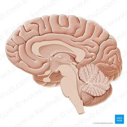 797694761_1110856594940580_6473454497648082410_n.jpg