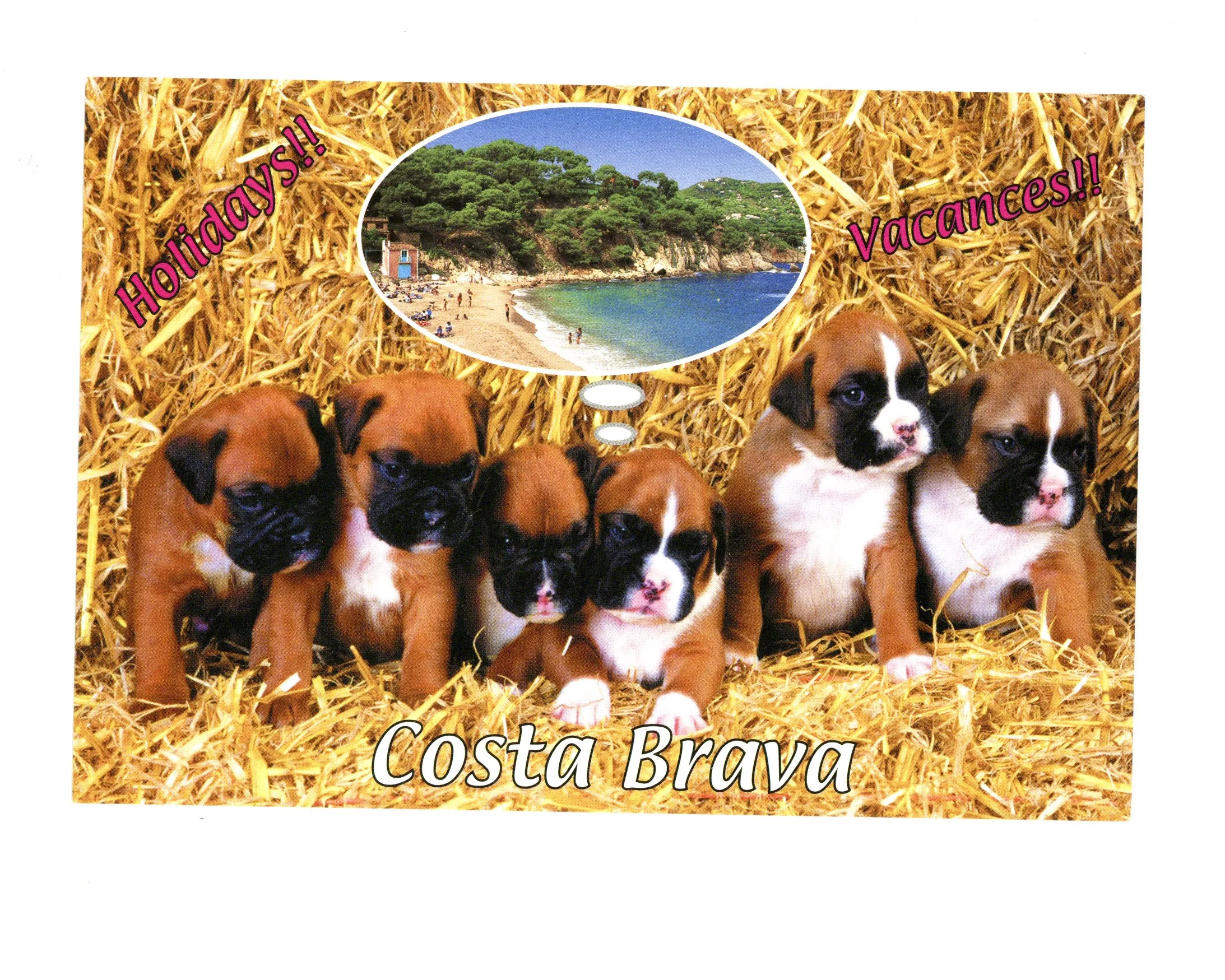 'Costa Brava' Postcard found in Banyuls-Sur-Mer, France.