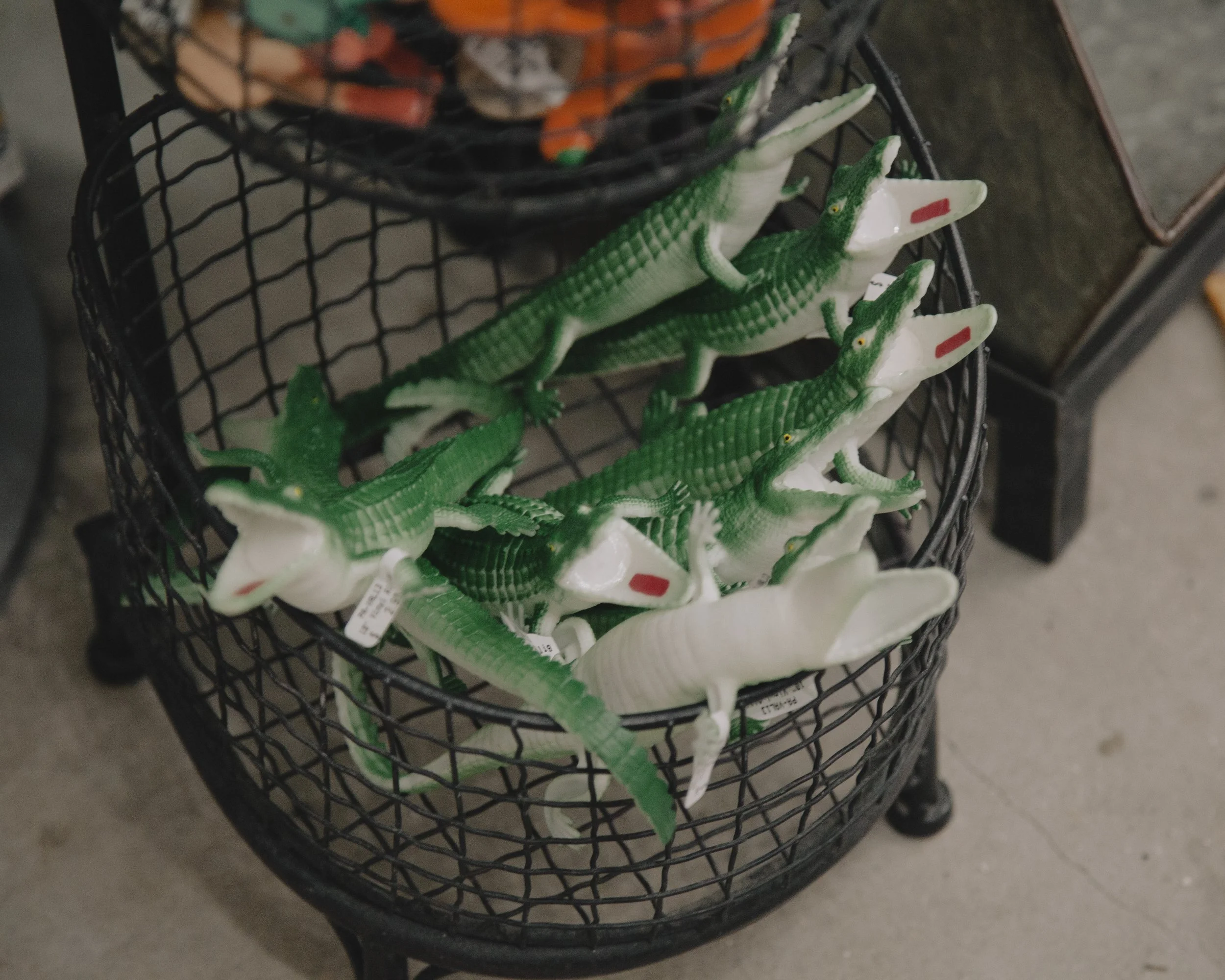 Toy Alligators. Orlando, Florida.