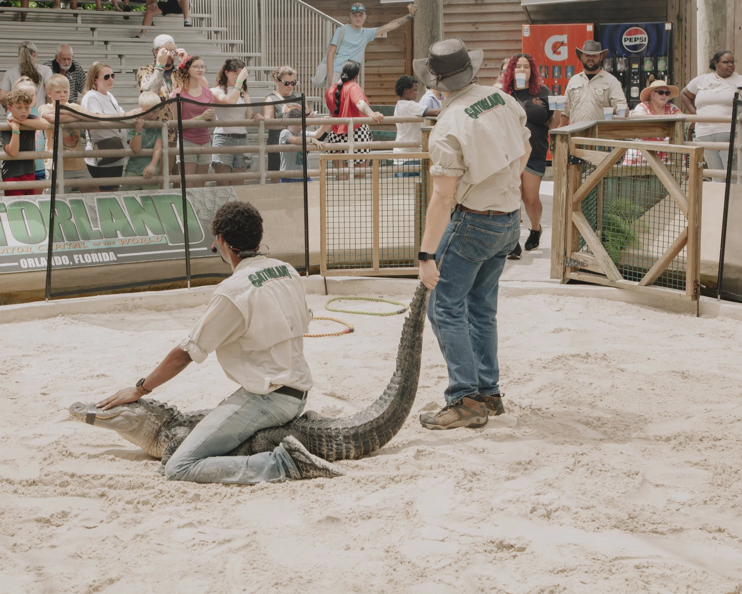 Aligator Show. Orlando, Florida.