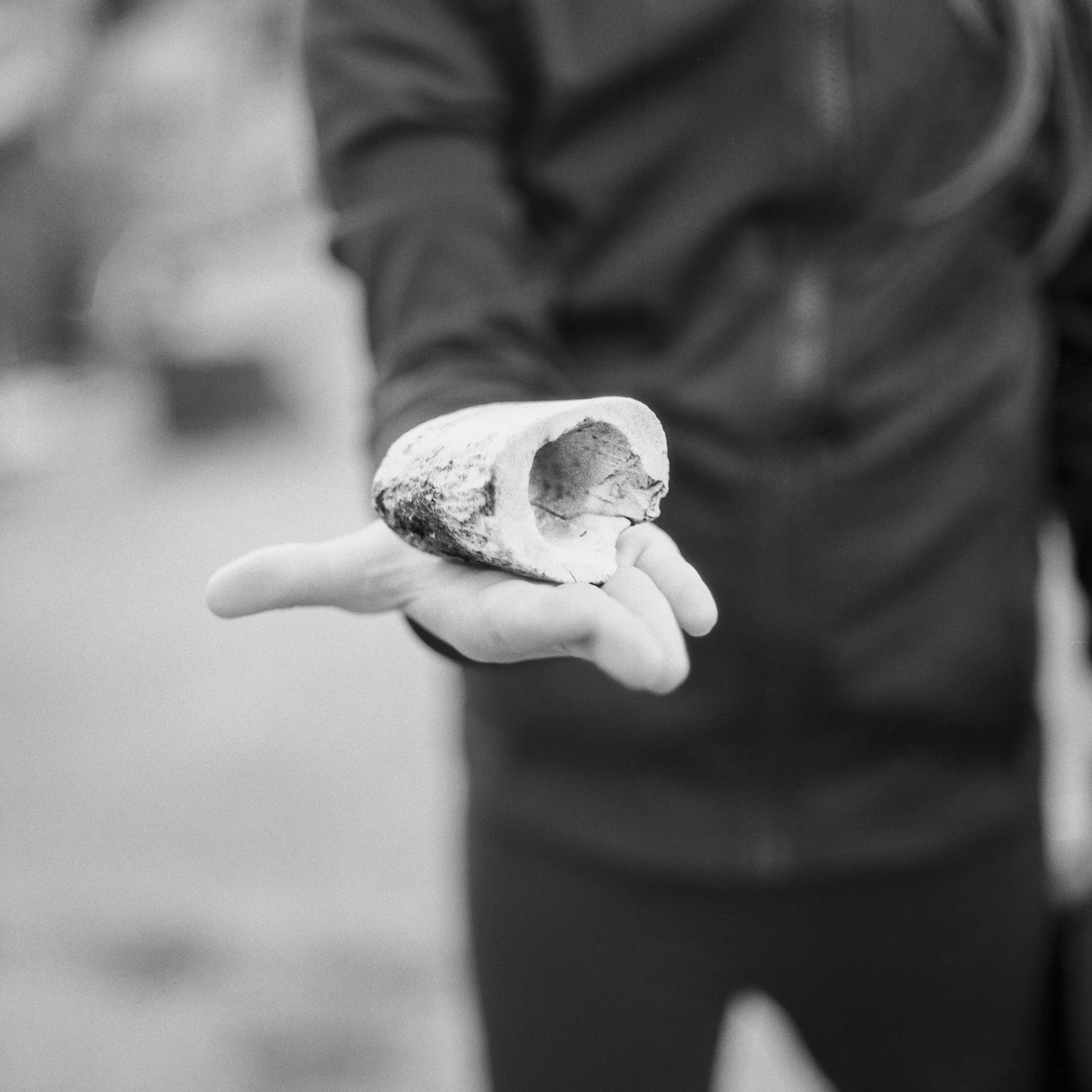 An animal bone that was found by a child playing in the industrial outskirts. Dessau, Germany.