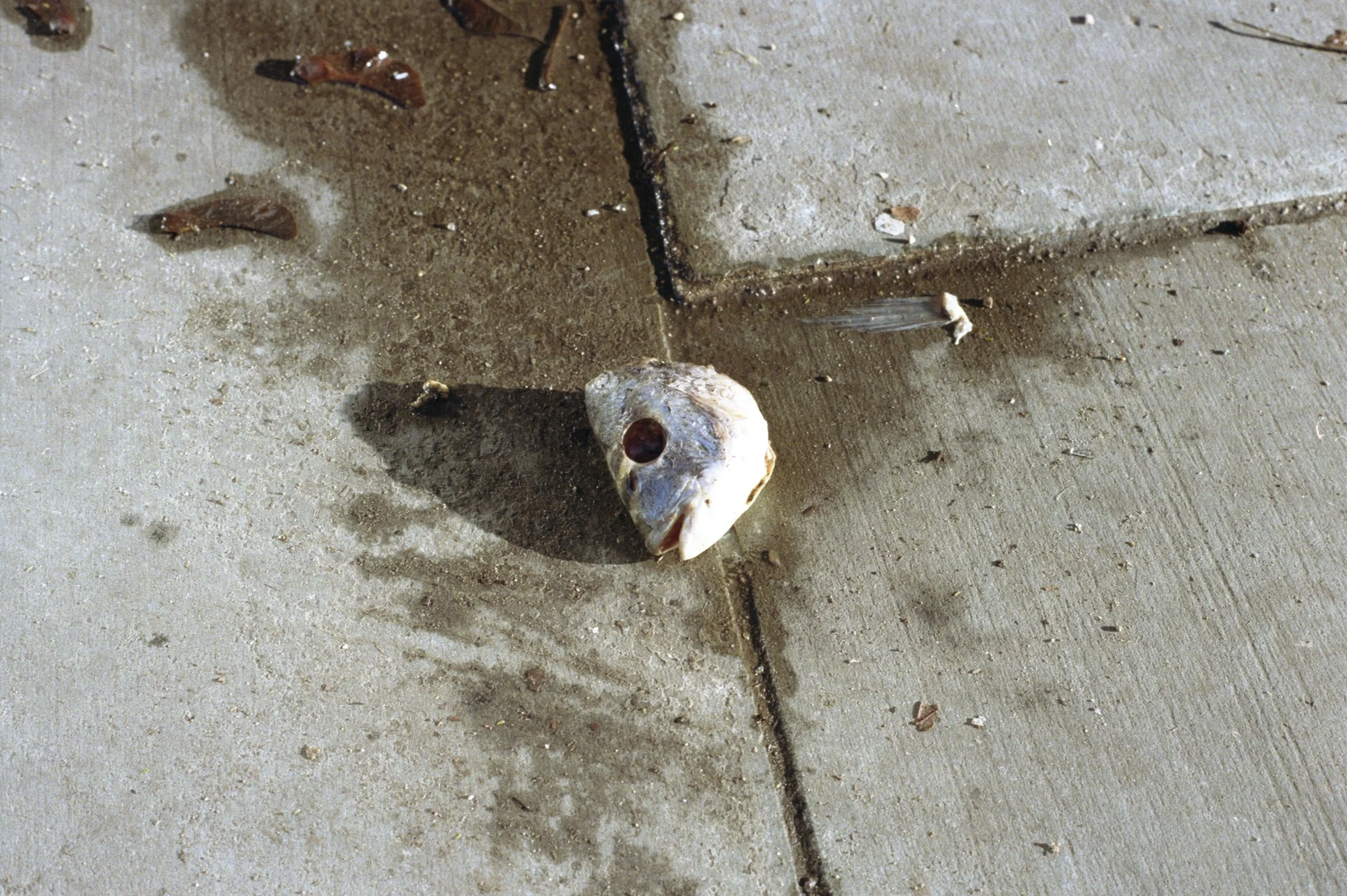 img20250130_16015576.jpg