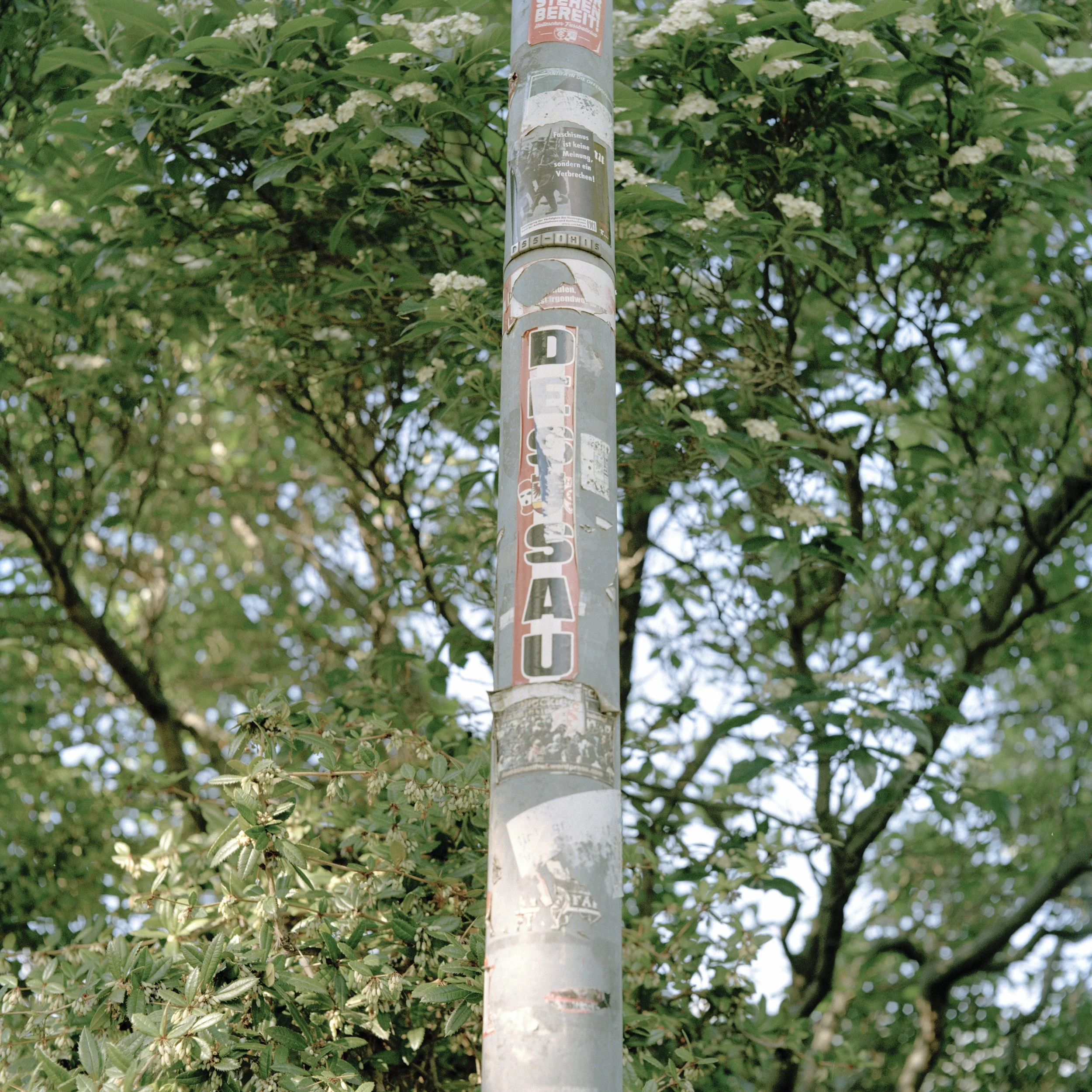 oscar-bauhaus-colour-43.jpg