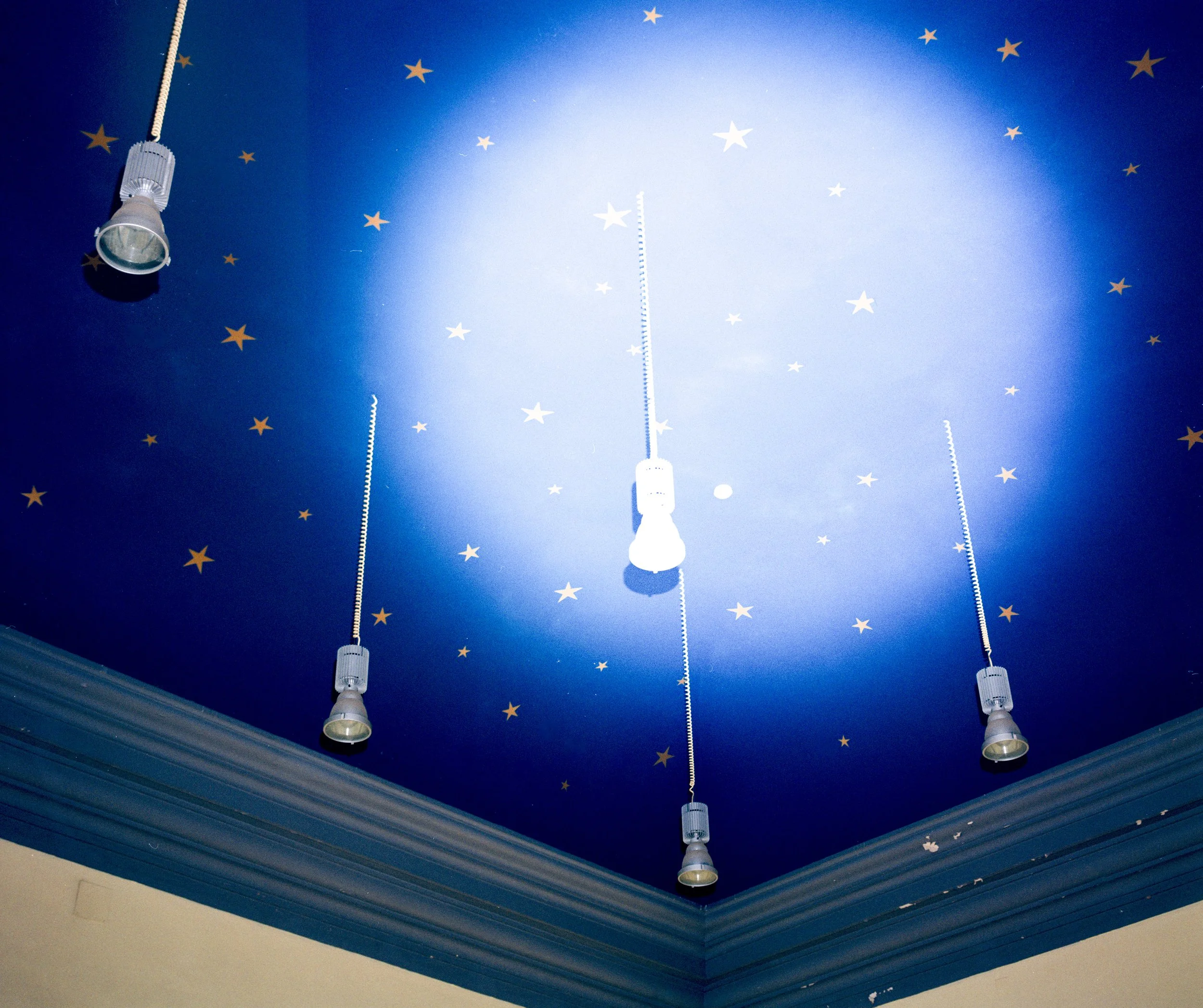Ceiling of the 'Old Customs Hall'. Portbou Train Station, Portbou, Spain.