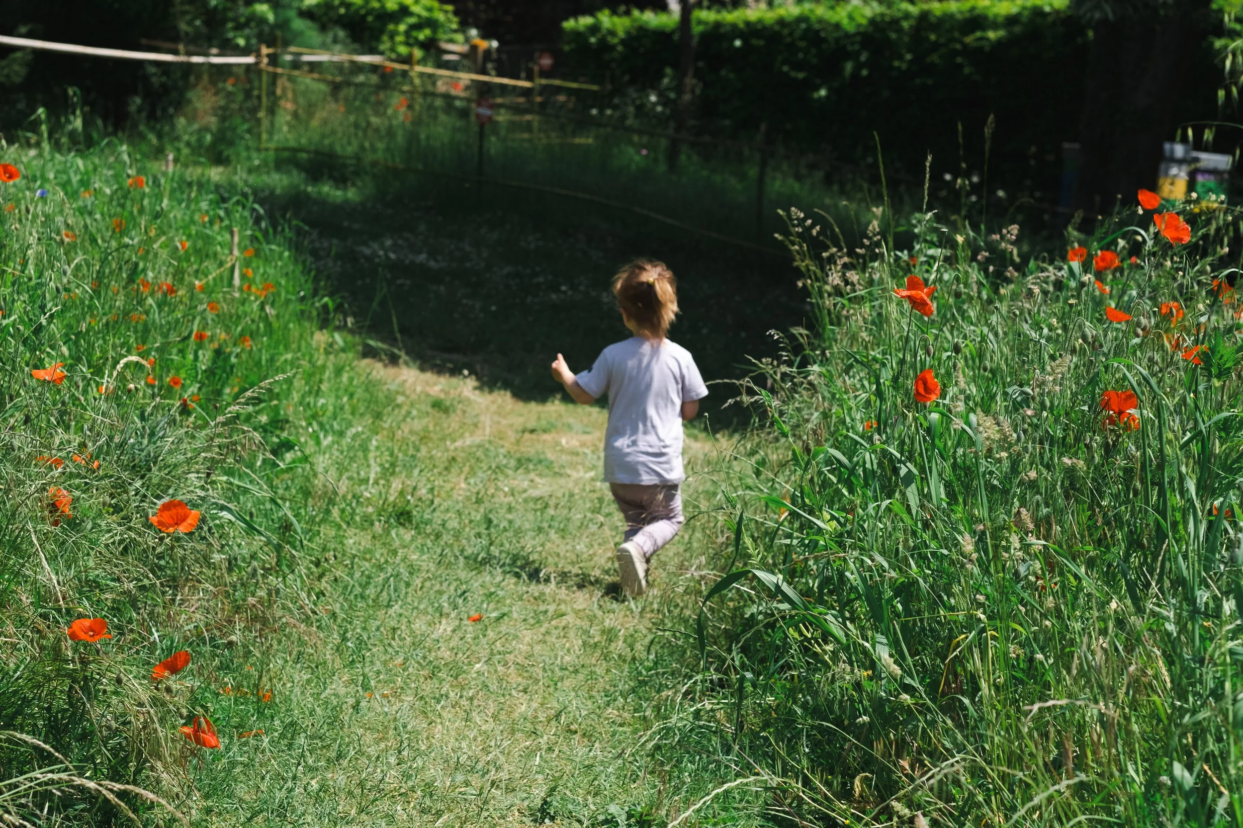 DSCF2650.jpg