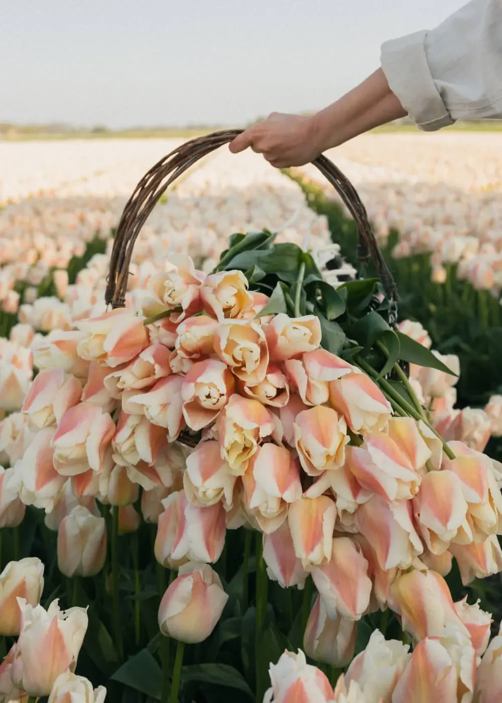 How Florea Uses Content Marketing to Turn Inspiration into Sales