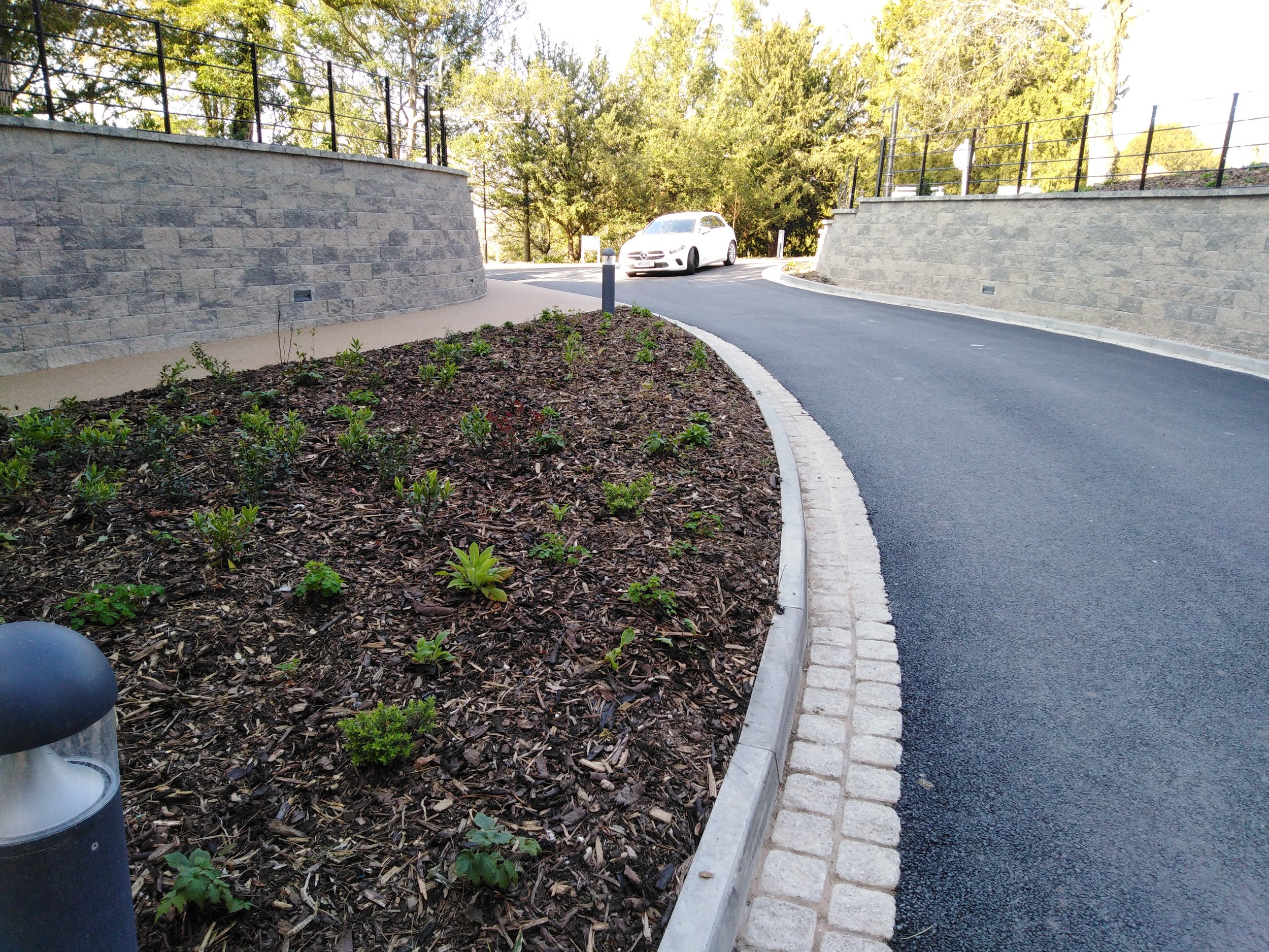 IMG_20190328_092624 (1).jpg