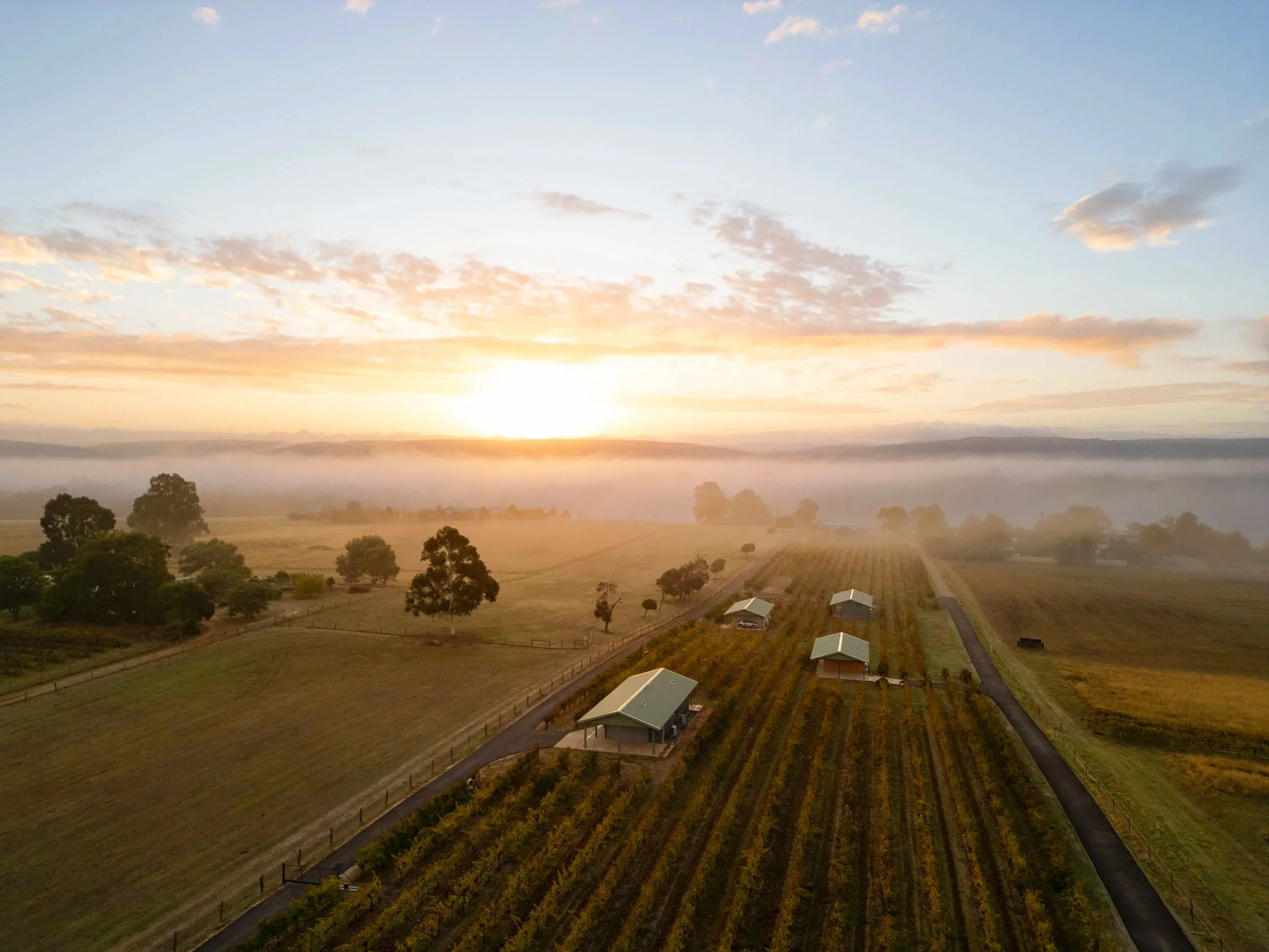 Swan Valley Sunrise