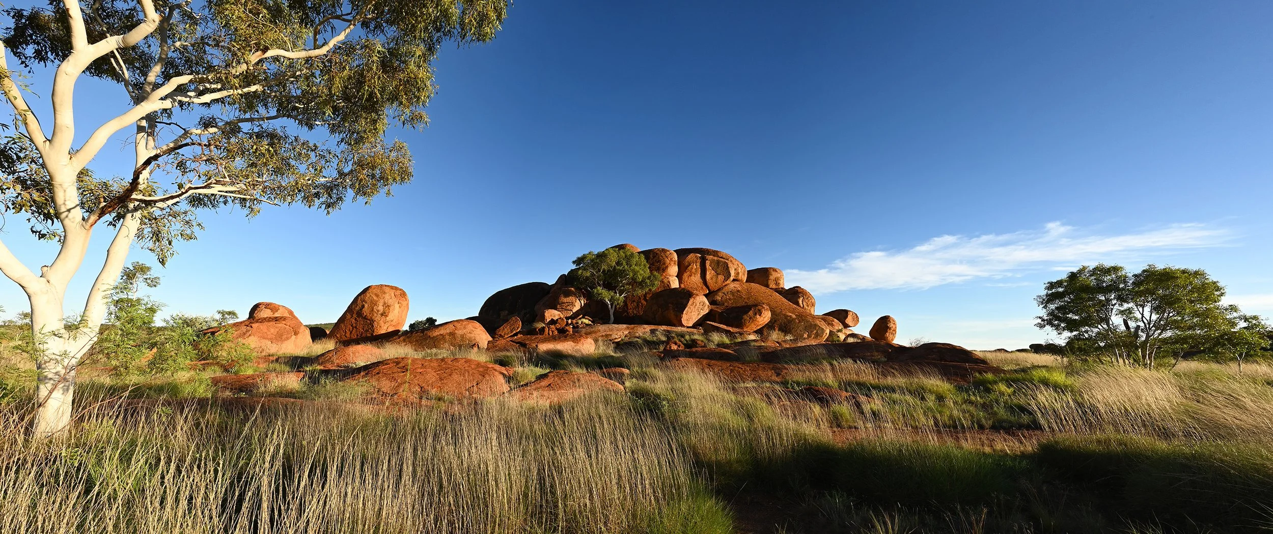 A landscape with large reddish-brown rocks known as The Devil's Marbles, a few trees, and tall grass under a clear blue sky.