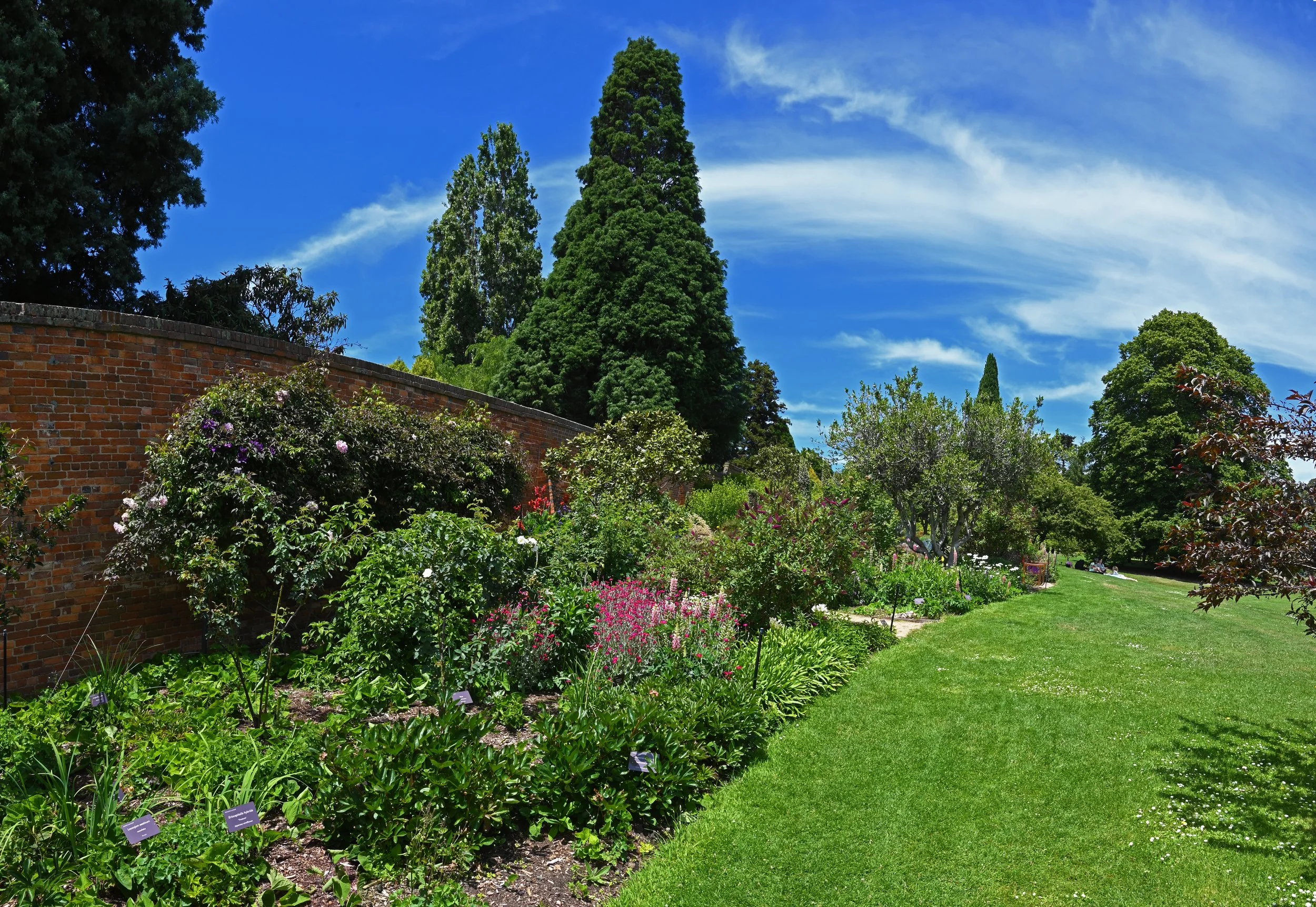 Royal Botanical Gardens - Hobart
