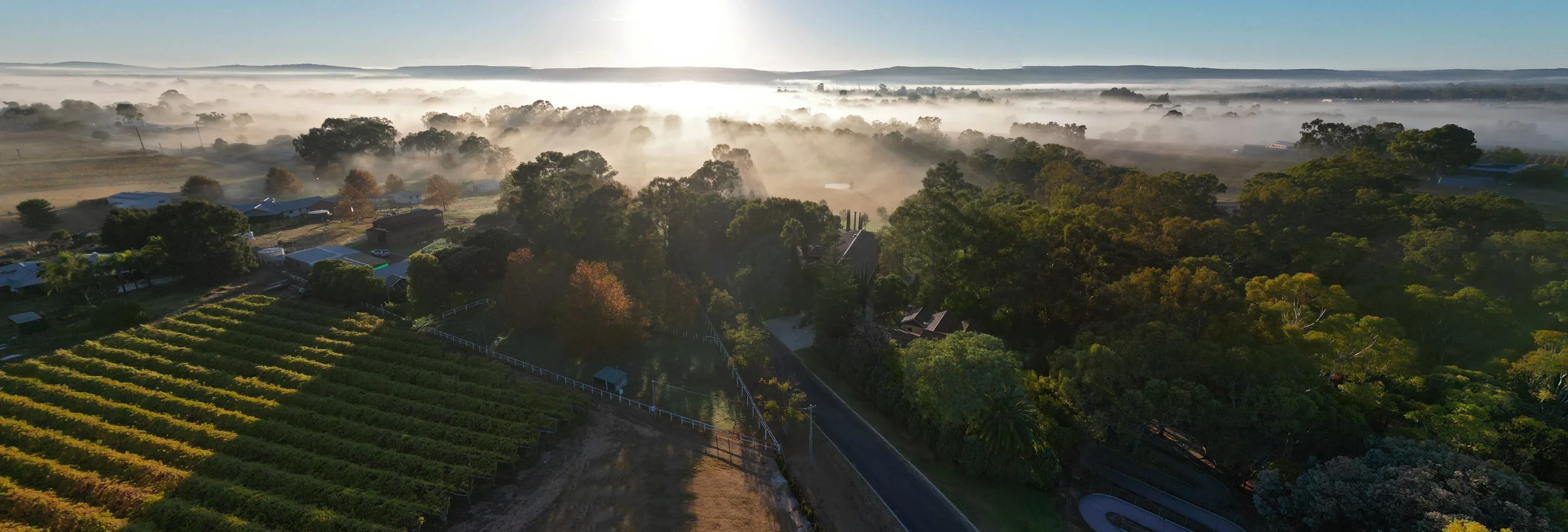 The Swan Valley