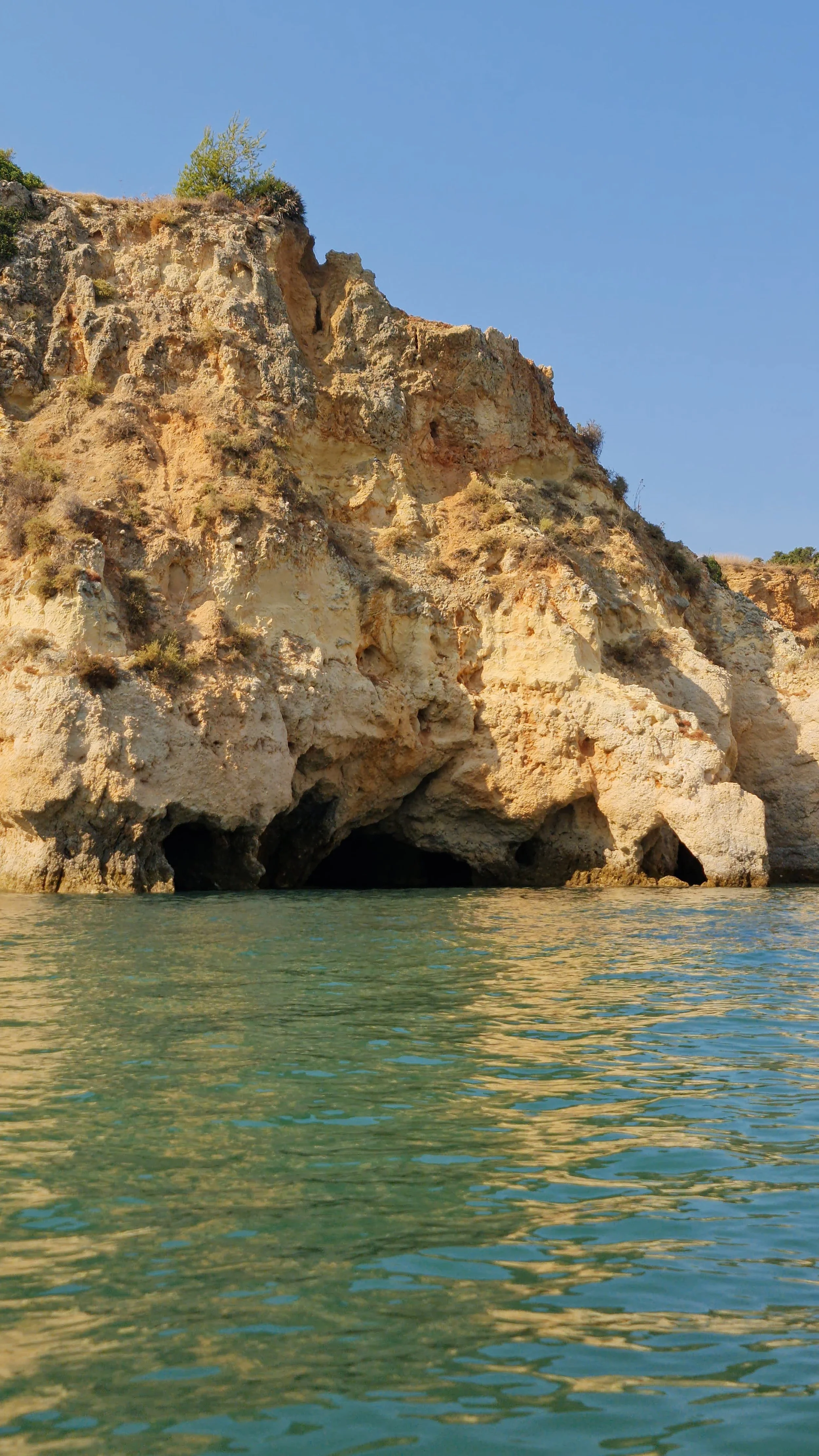 Ocean SUP & Kayak Tours [Water Sports, Outdoor]